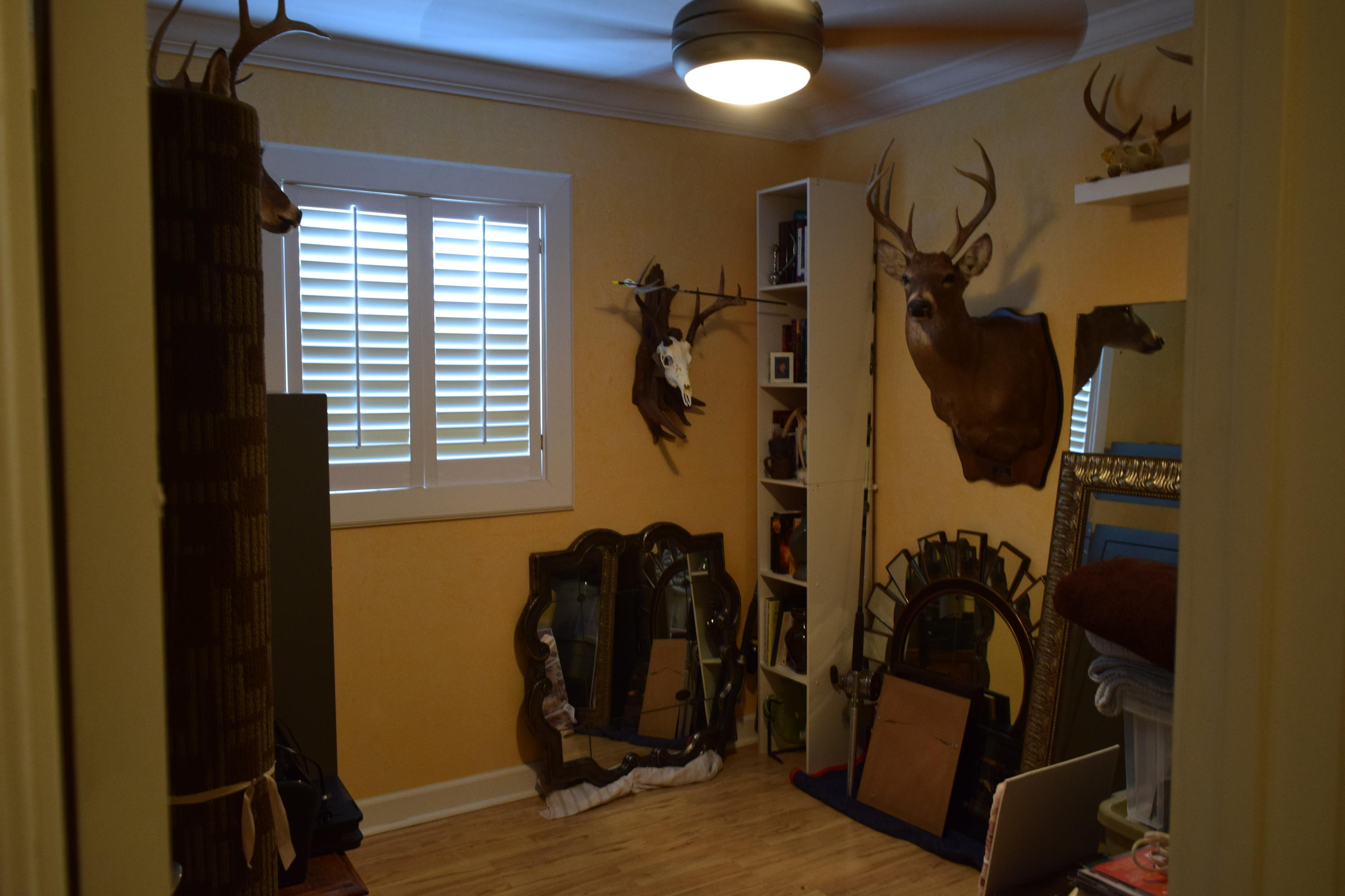 SPRINGDALE - Residential Lease