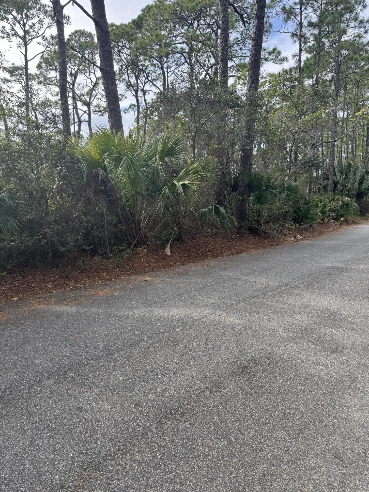 The Plantation on St.George Island - Land