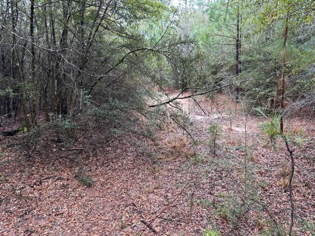 NO RECORDED SUBDIVISION - Land