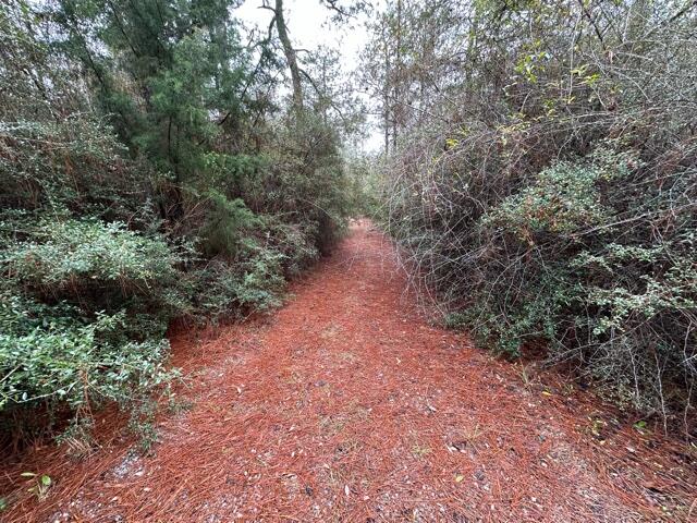 NO RECORDED SUBDIVISION - Land