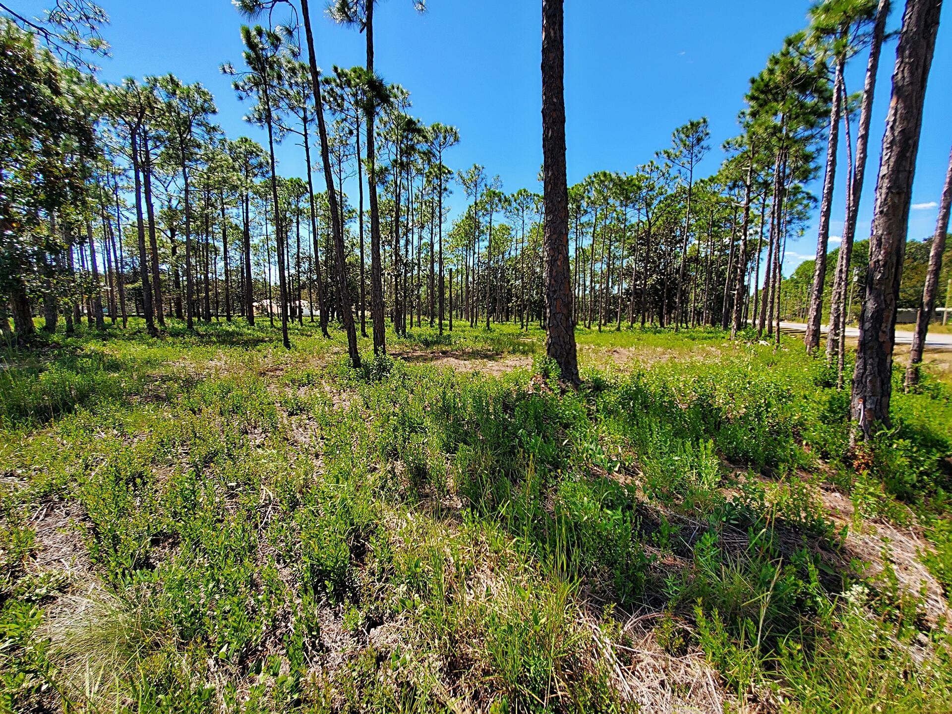 SANTA ROSA PLANTATION - Land