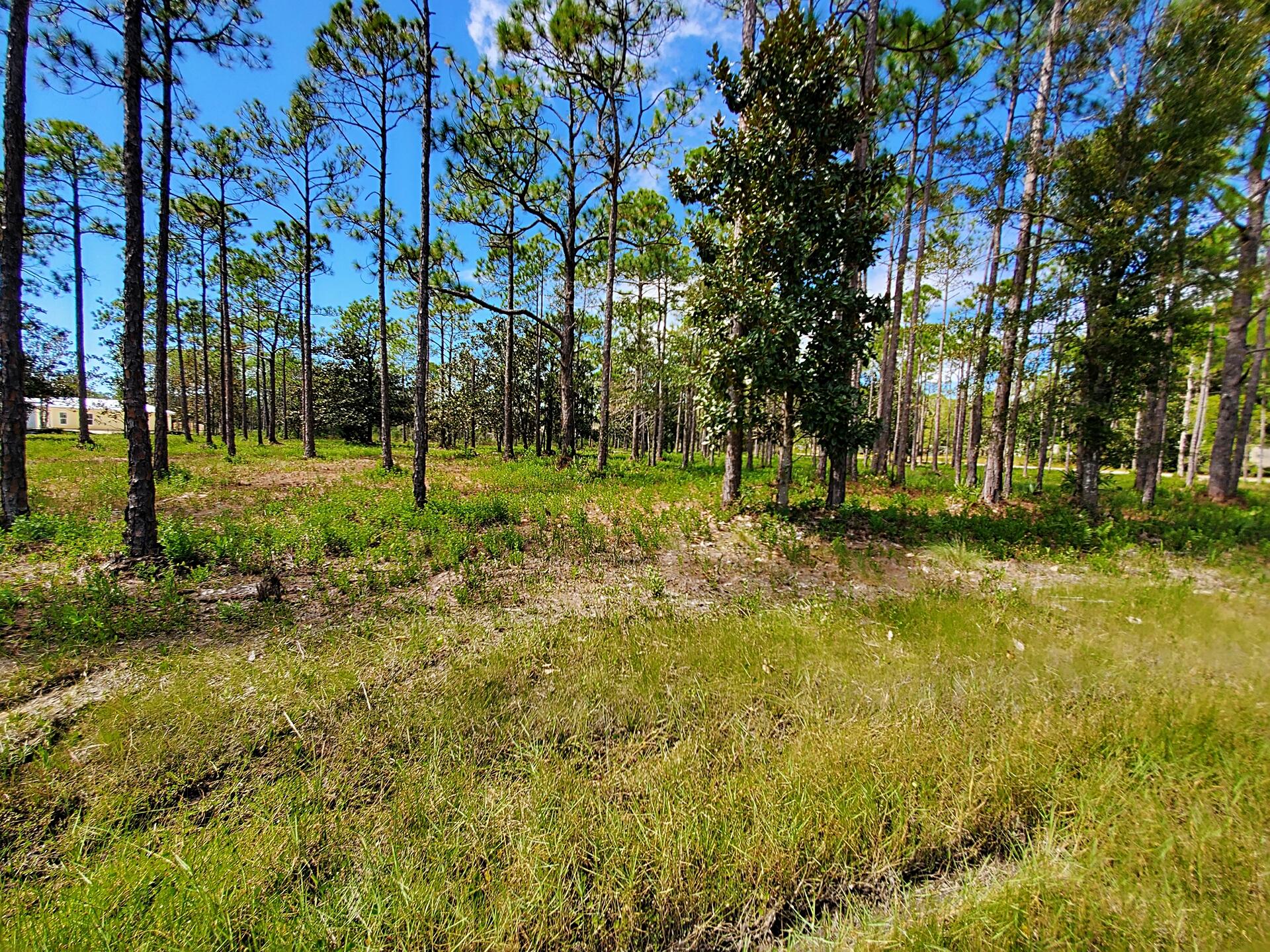 SANTA ROSA PLANTATION - Land