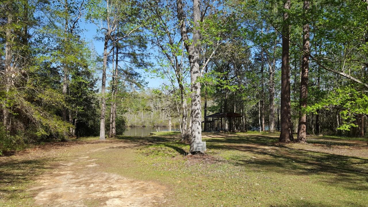 CHARLOTTE ESTATES - Residential