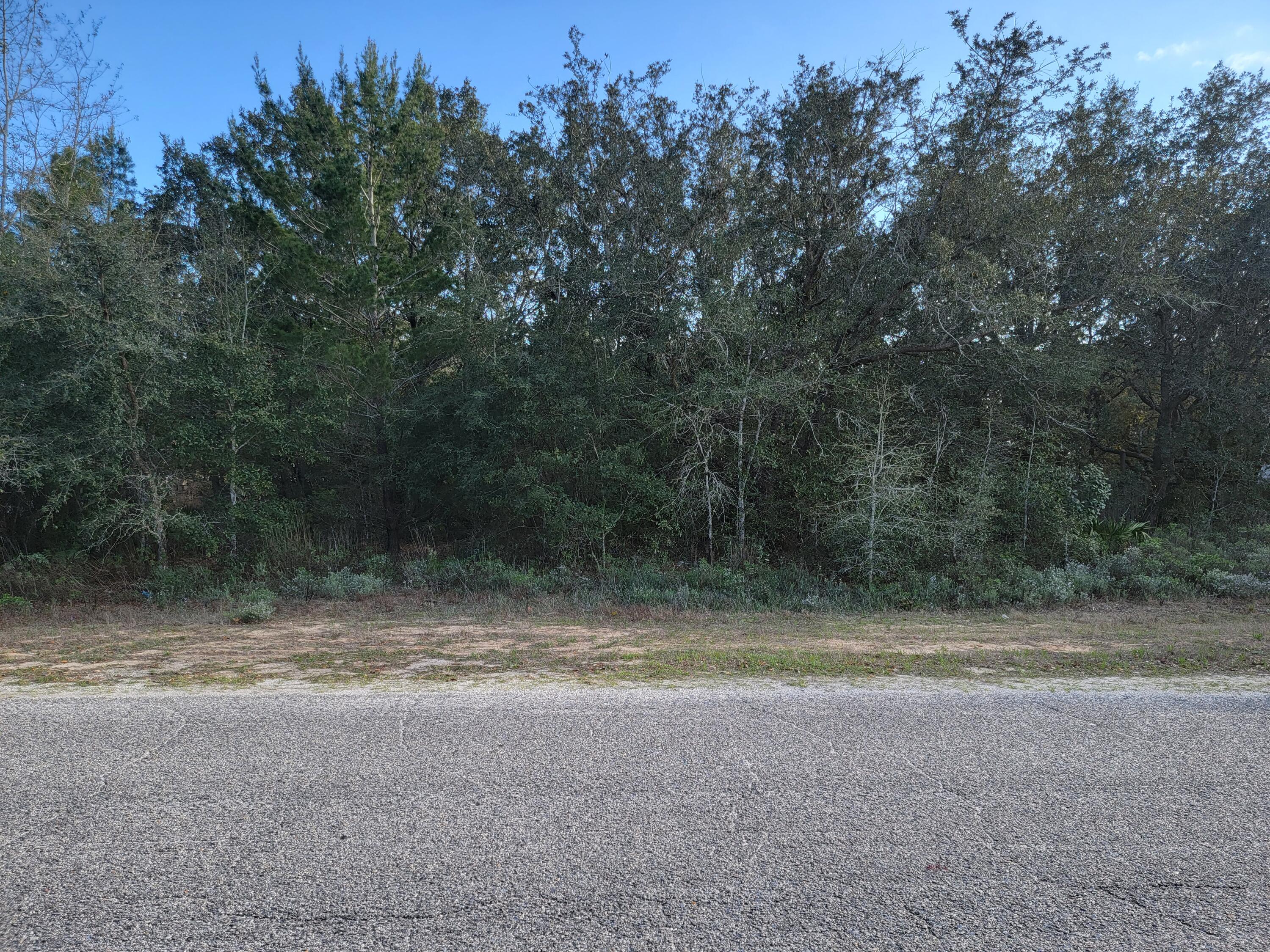 LEONE SUBDIVISION LOT 5 - Land