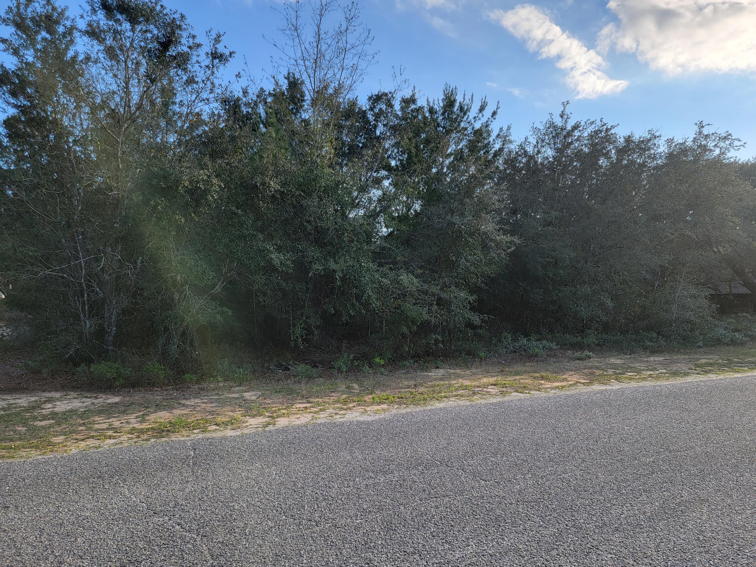 LEONE SUBDIVISION LOT 5 - Land