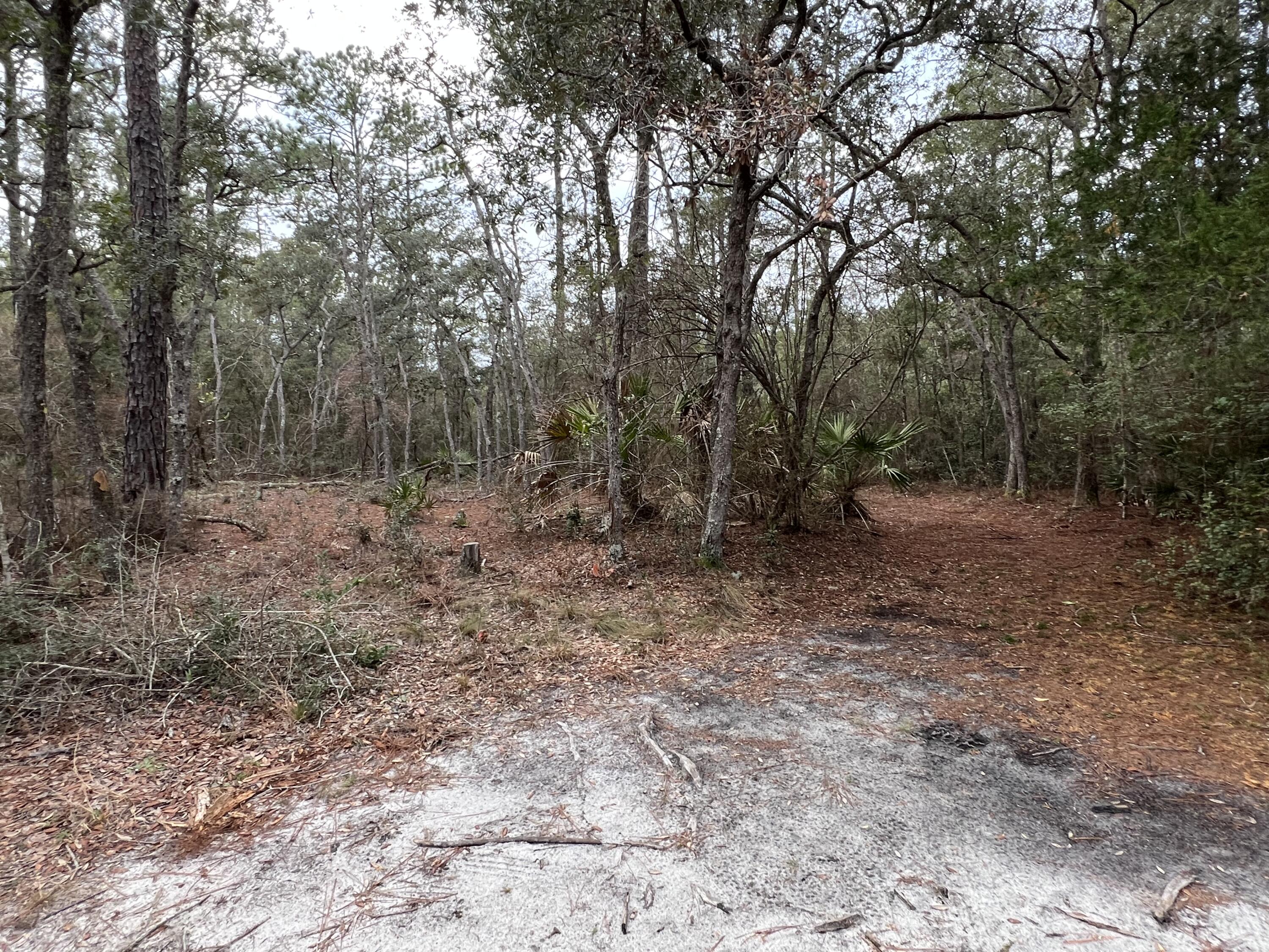 None - Land