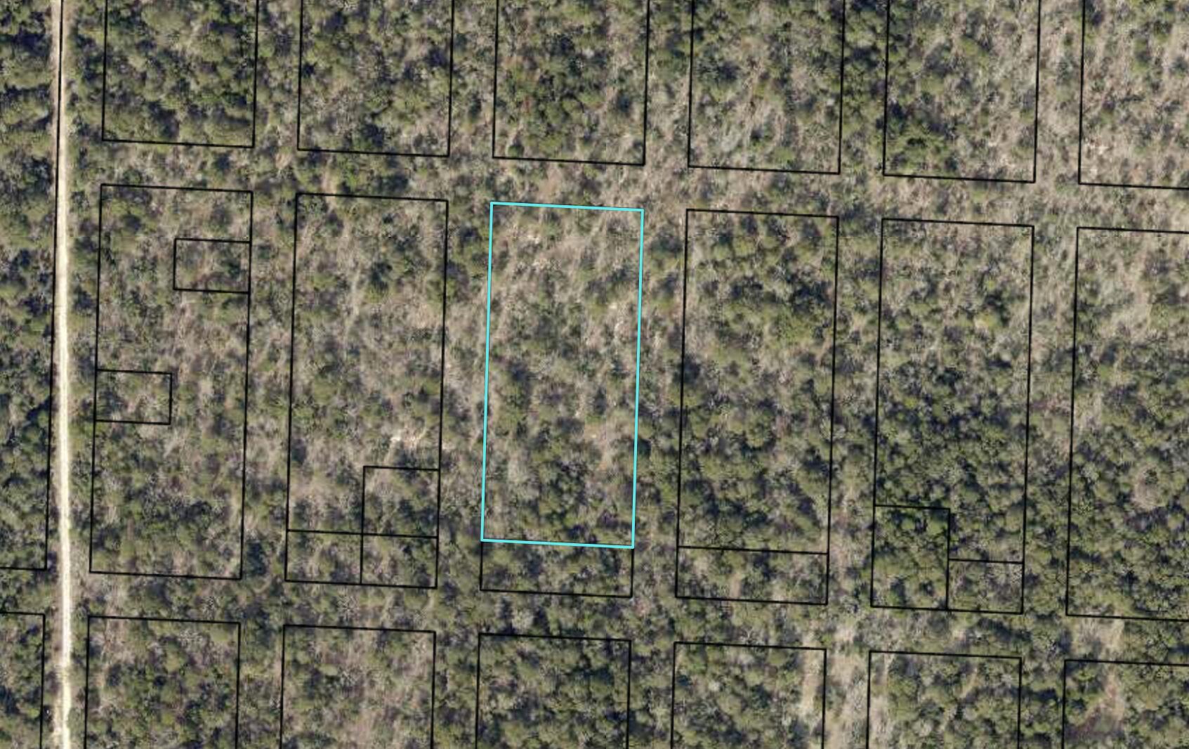 PINETREE - Land