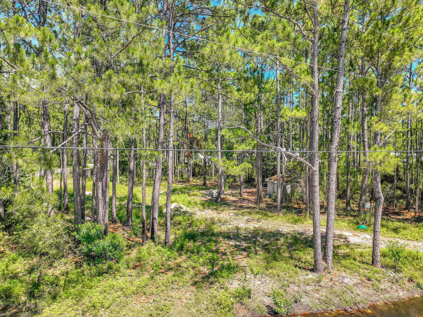 HOLLY PINES ESTATES - Land