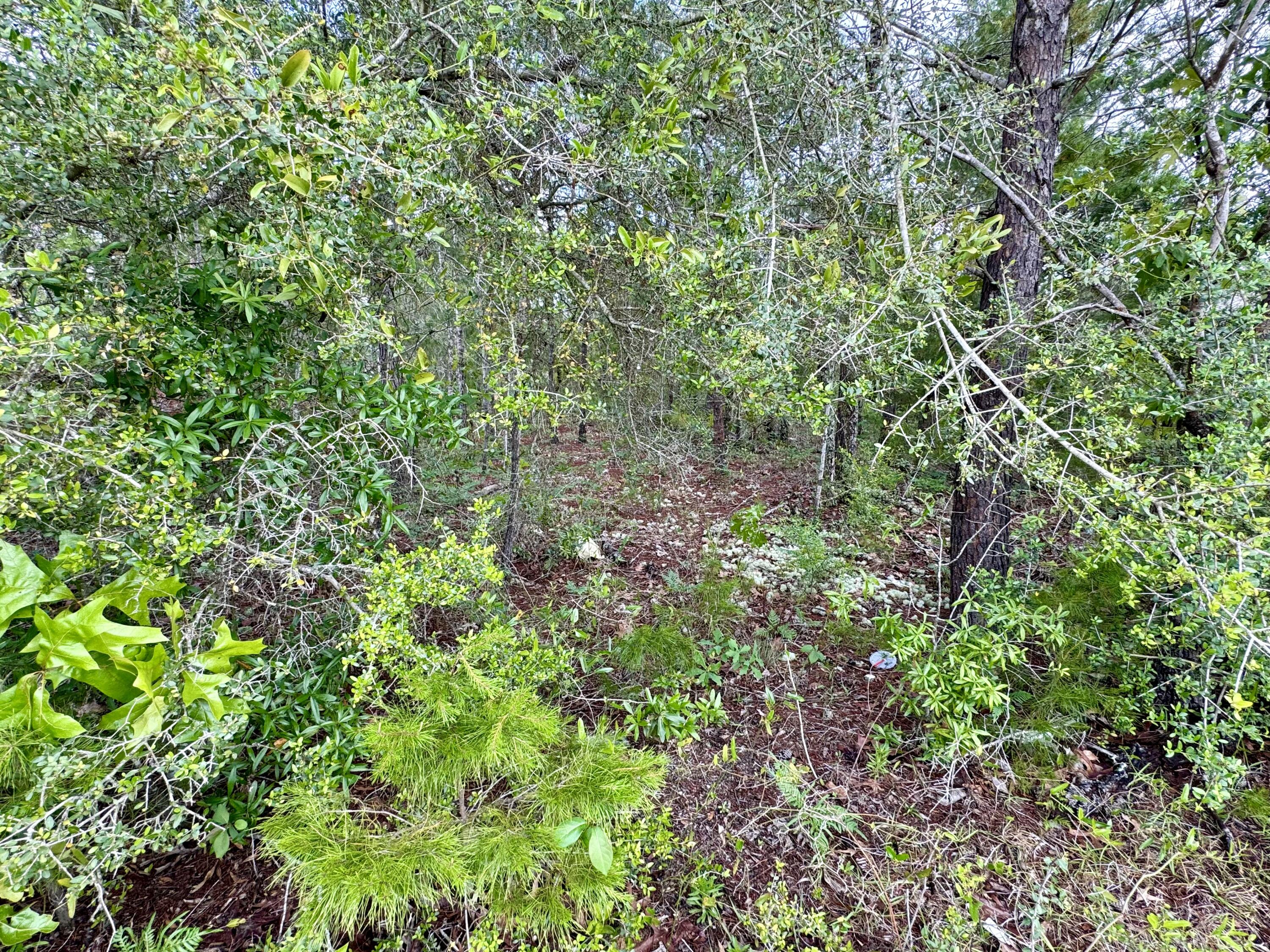 OAKWOOD HILLS UNIT 3 - Land