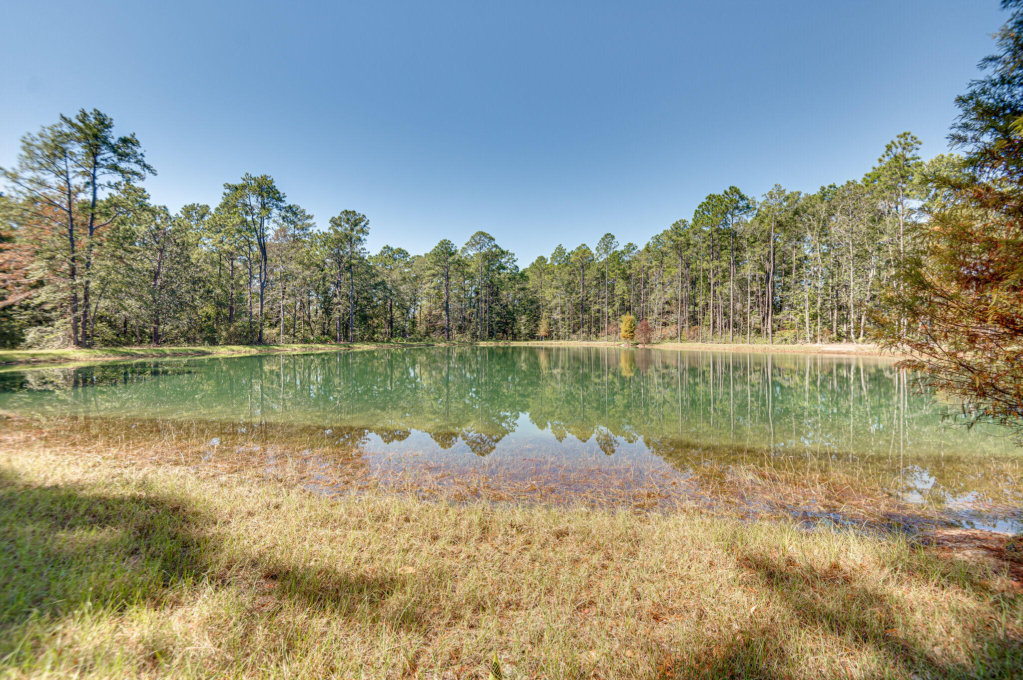 HAMMOCK BAY - Residential Lease