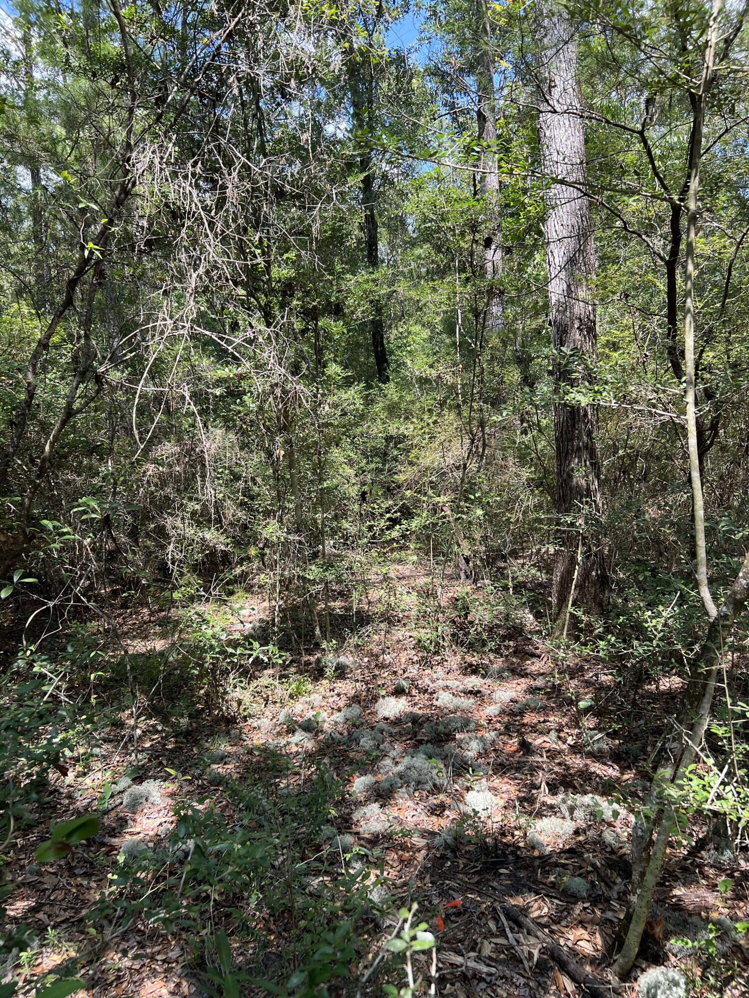 LAGRANGE LANDING - Land
