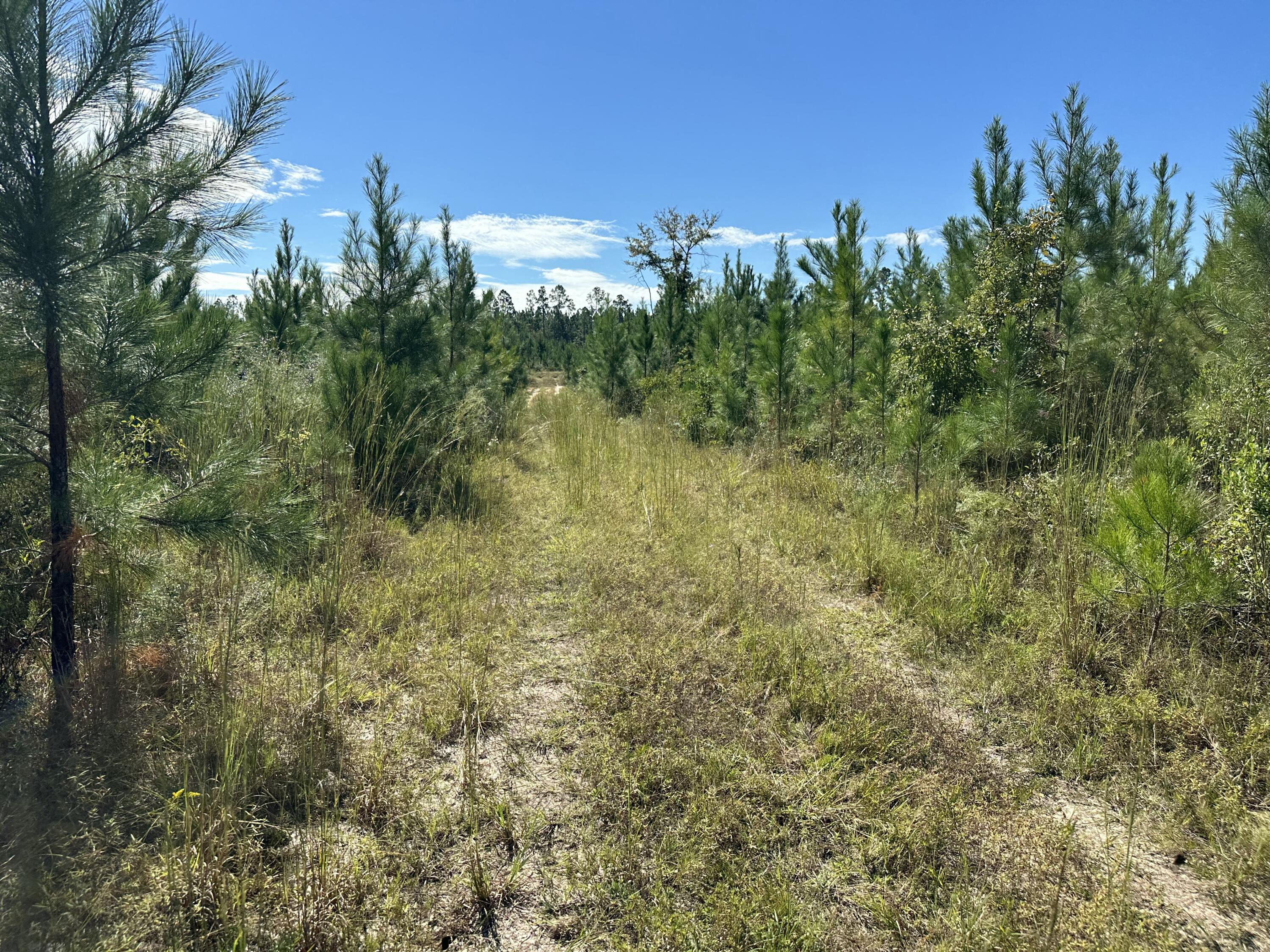 Discover 47.23± acres on Millside Road in Laurel Hill, just off Hwy 85. This tract offers a mix of open space and timber, creating opportunities for outdoor recreation, future building, or long-term investment. Its location provides a rural setting with convenient access to surrounding communities. The county has paving plans in place for Millside Road, adding to the appeal of this property.
