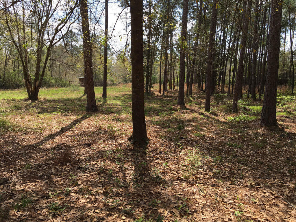 Don't miss the opportunity to own this beautiful 2 acres of land located in South Crestview directly off of Antioch Road.
Convenient location for future home! This land is located just minutes away from 7th Group and Duke Field with an easy commute to Eglin AFB and Emerald Coast
Beaches.