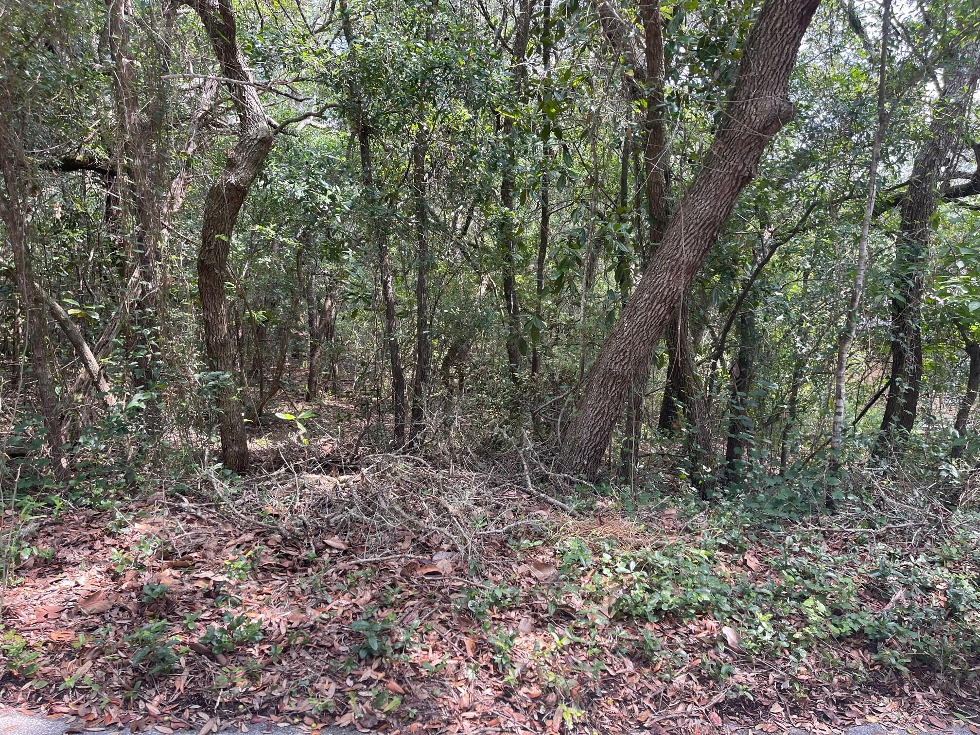 LAKE SHARON ESTATES - Land