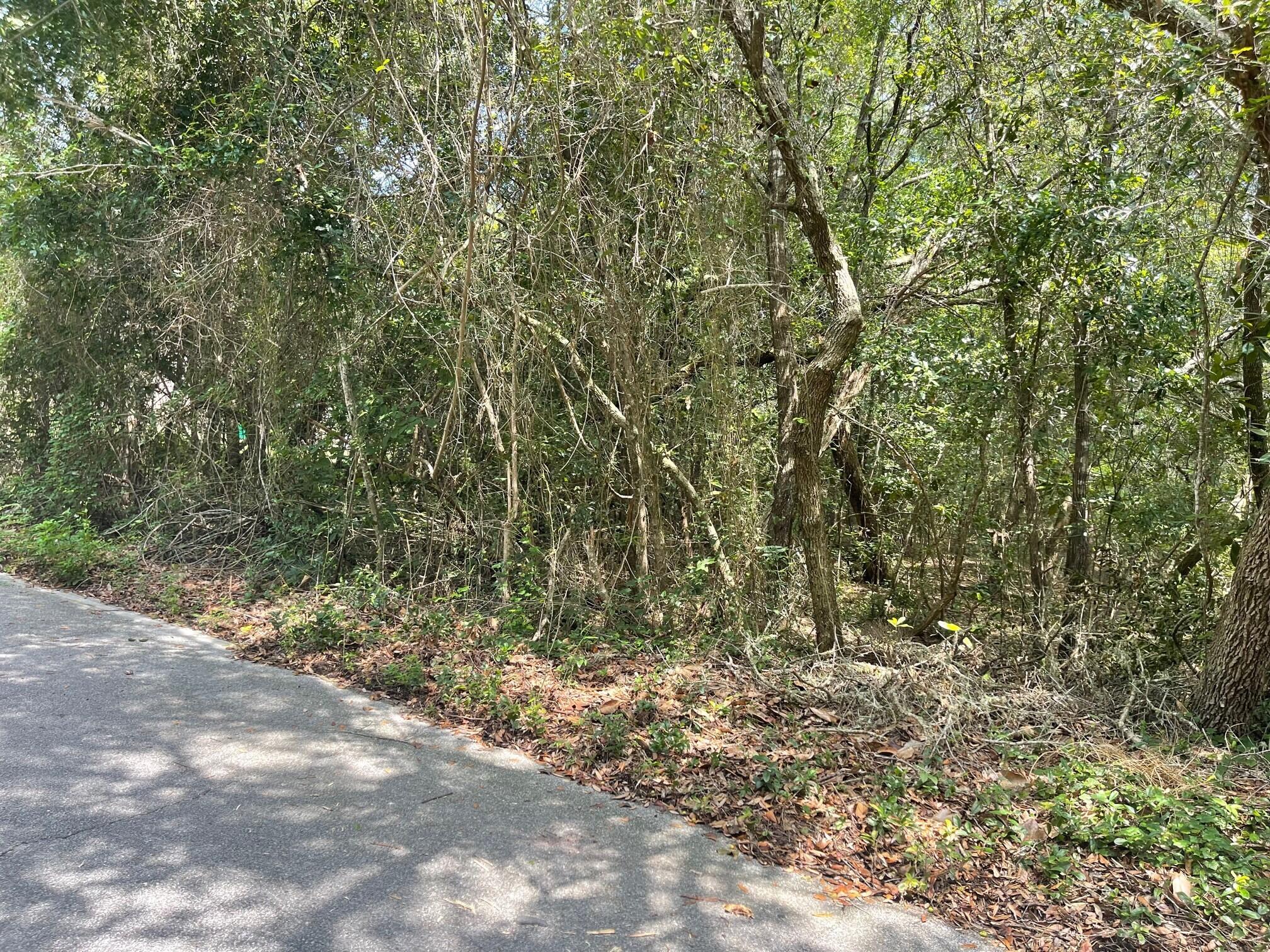 LAKE SHARON ESTATES - Land