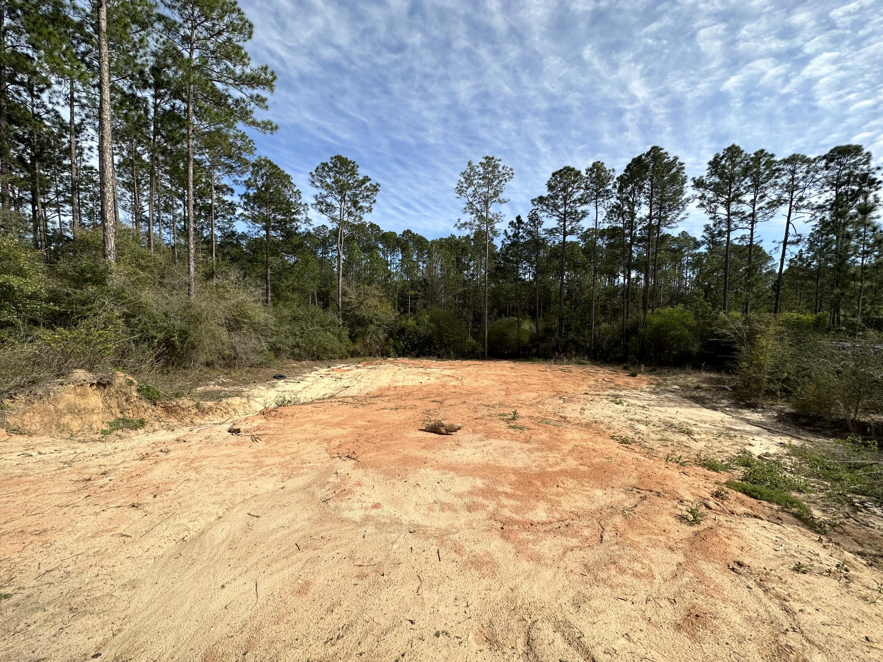 CV Pines/ Triple Lake - Land