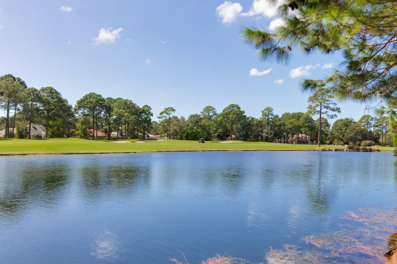 LAUREL GROVE - Residential