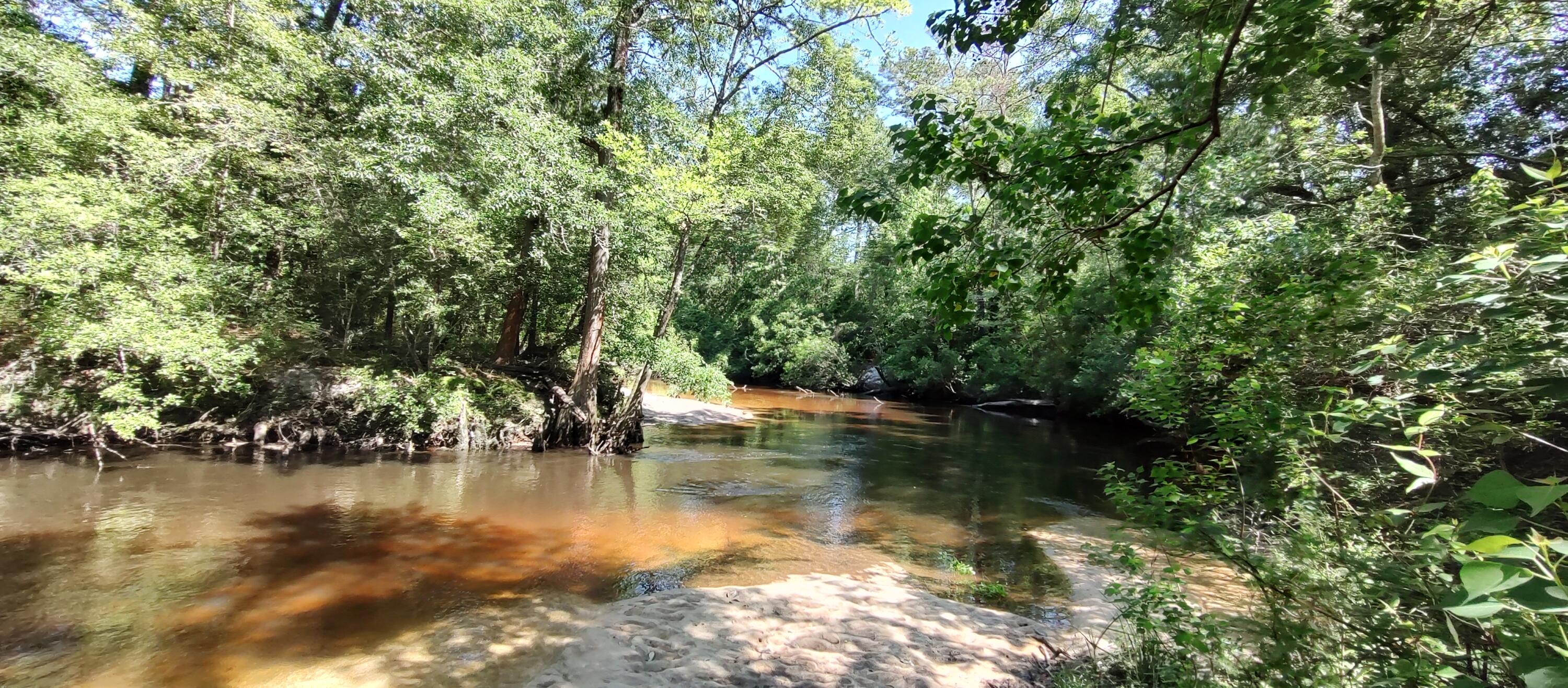 SHOAL RIVER PLANTATIONS, INC. - Land
