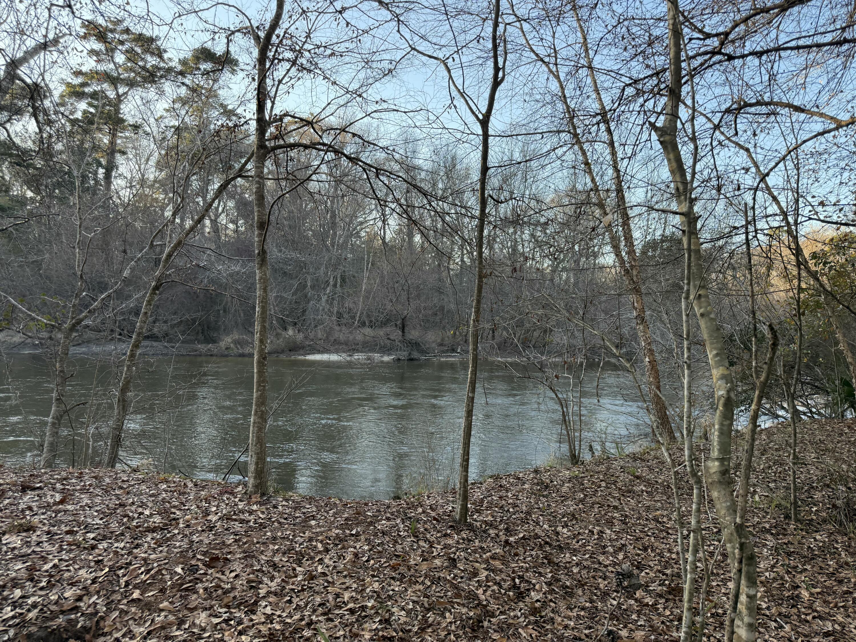 This stunning 3.02-acre waterfront property on the Yellow River offers over 200 feet of frontage, making it the perfect getaway for boating, fishing, kayaking, and outdoor adventures. Moderately wooded for privacy, the land provides a beautiful natural setting with a sandy bottom, white sand beaches, and scenic sandbars. Located directly across the river is 273 acres of NWF Water Management District Land.  Whether you're looking for a peaceful retreat or an outdoor enthusiast's dream, this property delivers. Conveniently located close to Crestview, you'll have easy access to shopping, dining and entertainment options, while still enjoying the tranquility of nature. Just a short drive south, the Emerald Coast's famous white sand beaches, including Destin, Fort Walton Beach, Navarre, Panam City, and Pensacola Beach, offer even more for relaxation and recreation. your RV, fishing gear, and outdoor toys to make this riverfront paradise your own. Don't miss this rare opportunityschedule a showing today!