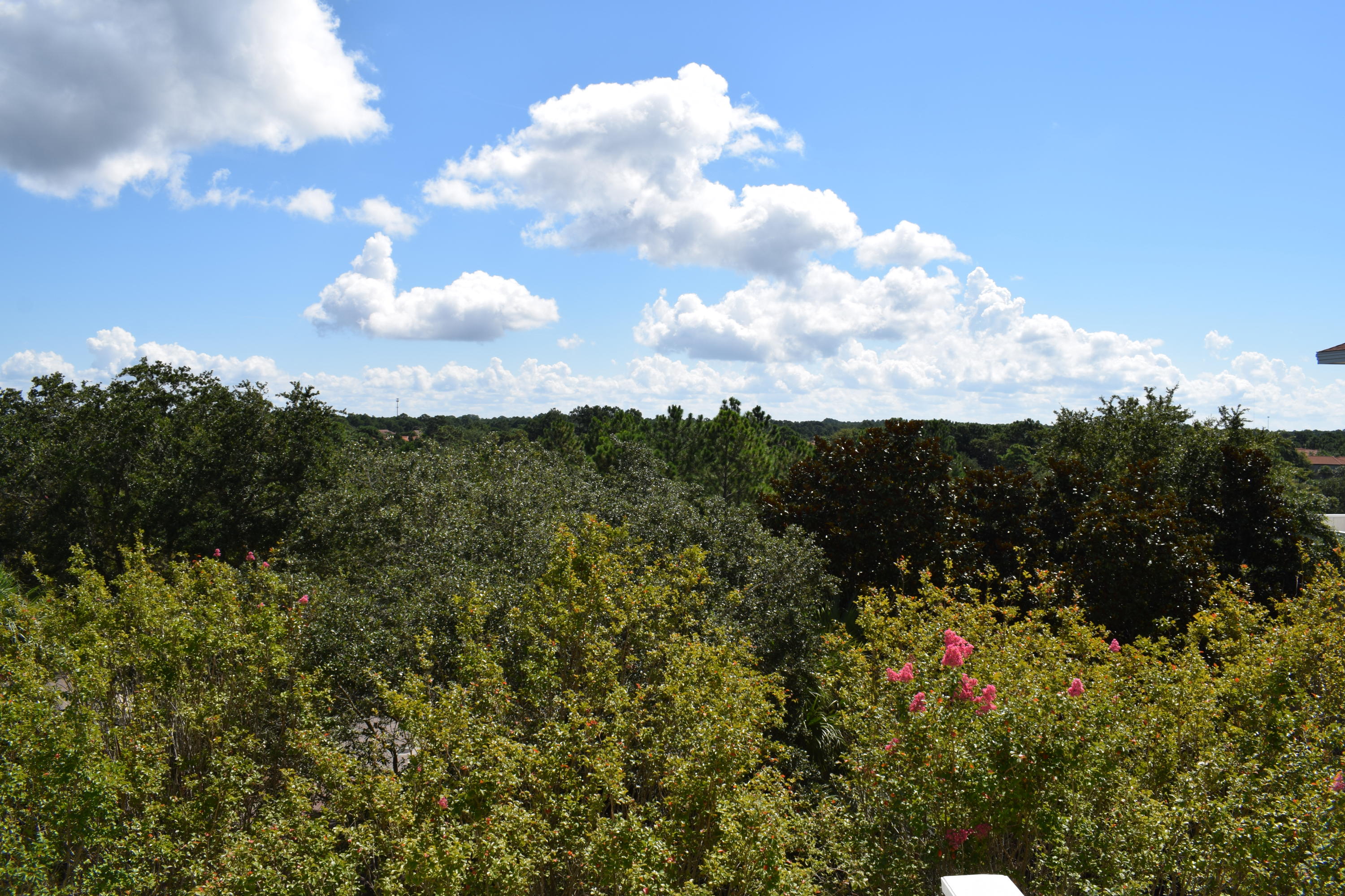 GRAND SANDESTIN THE - Residential Lease