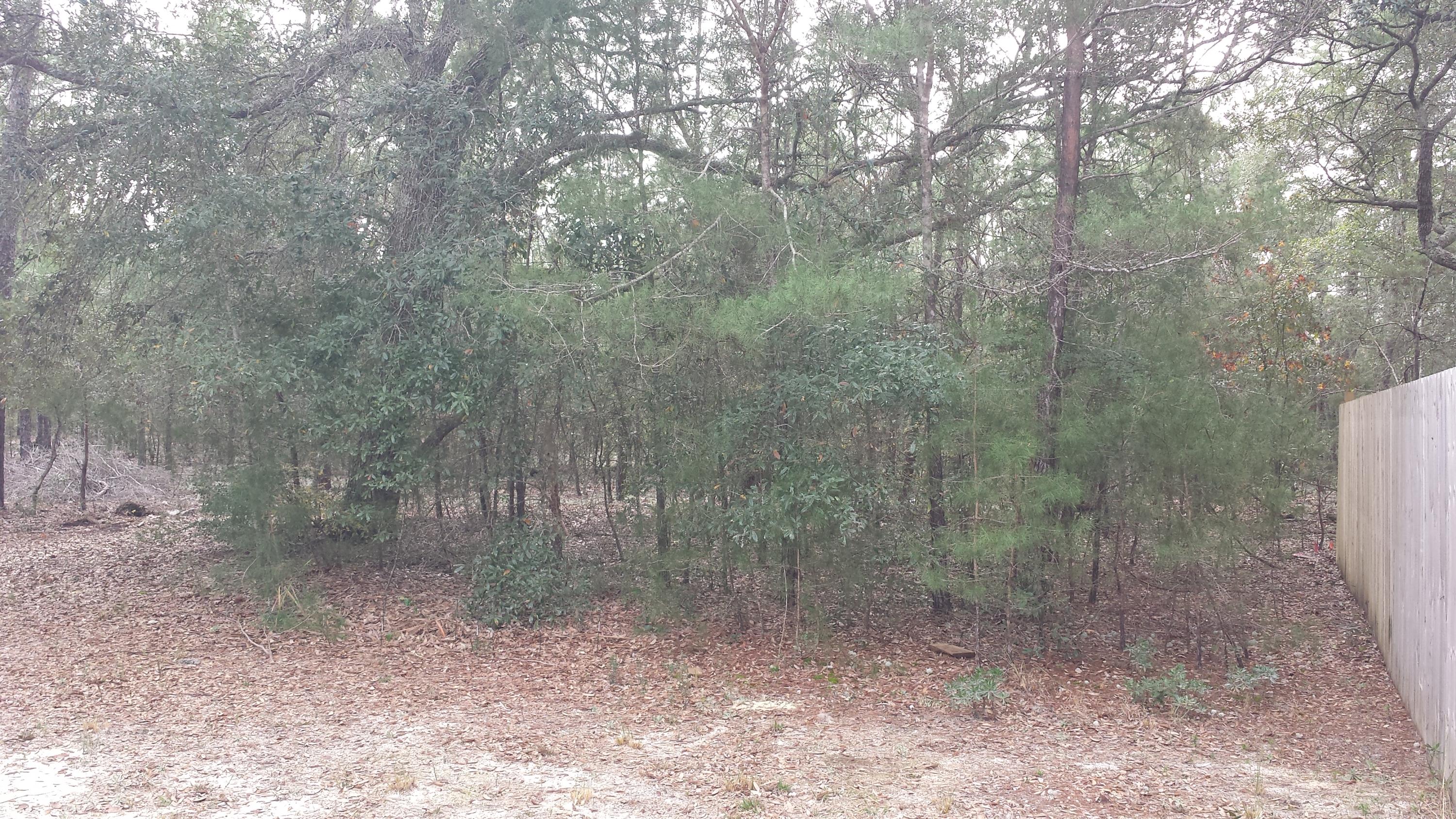 Magnolia Landing - Residential