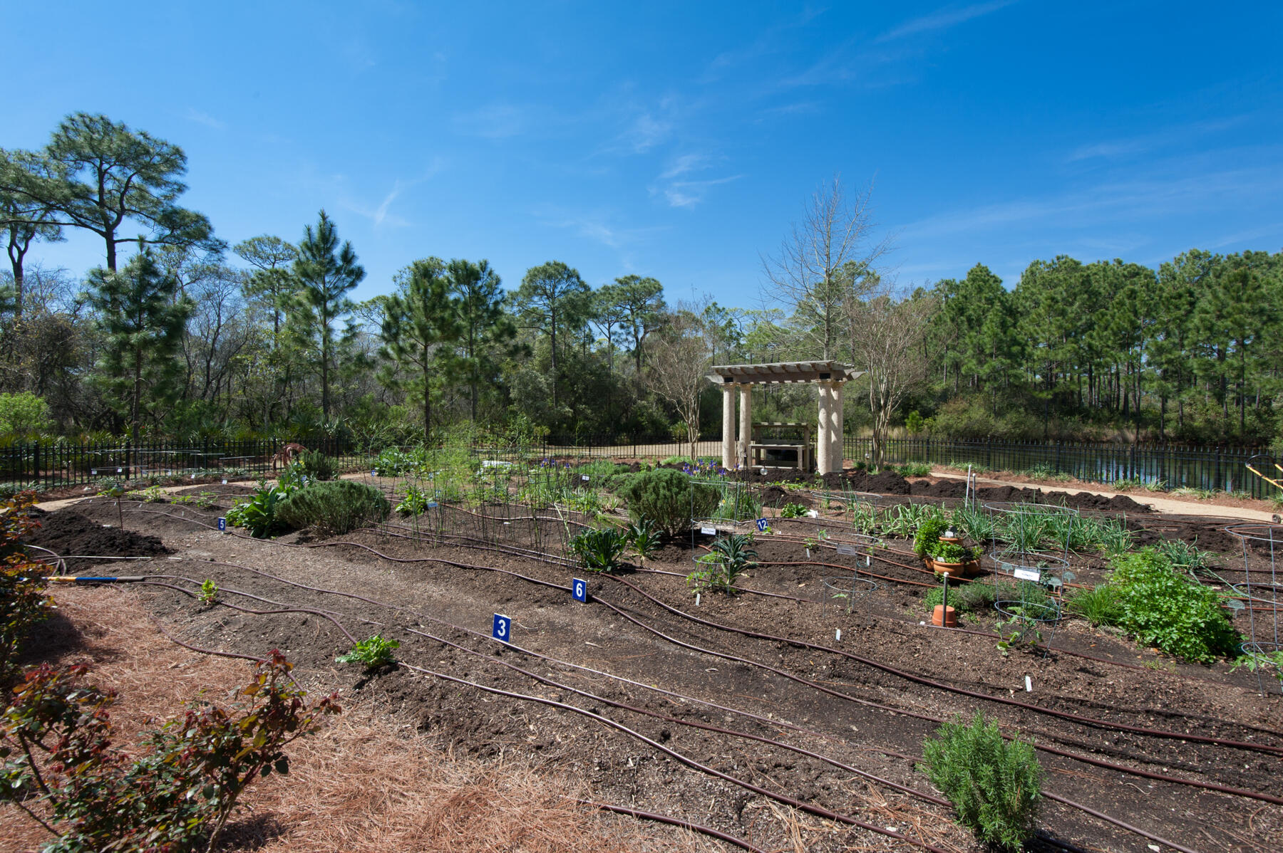 ONE WATER PLACE AT KELLY PLANTATION - Residential
