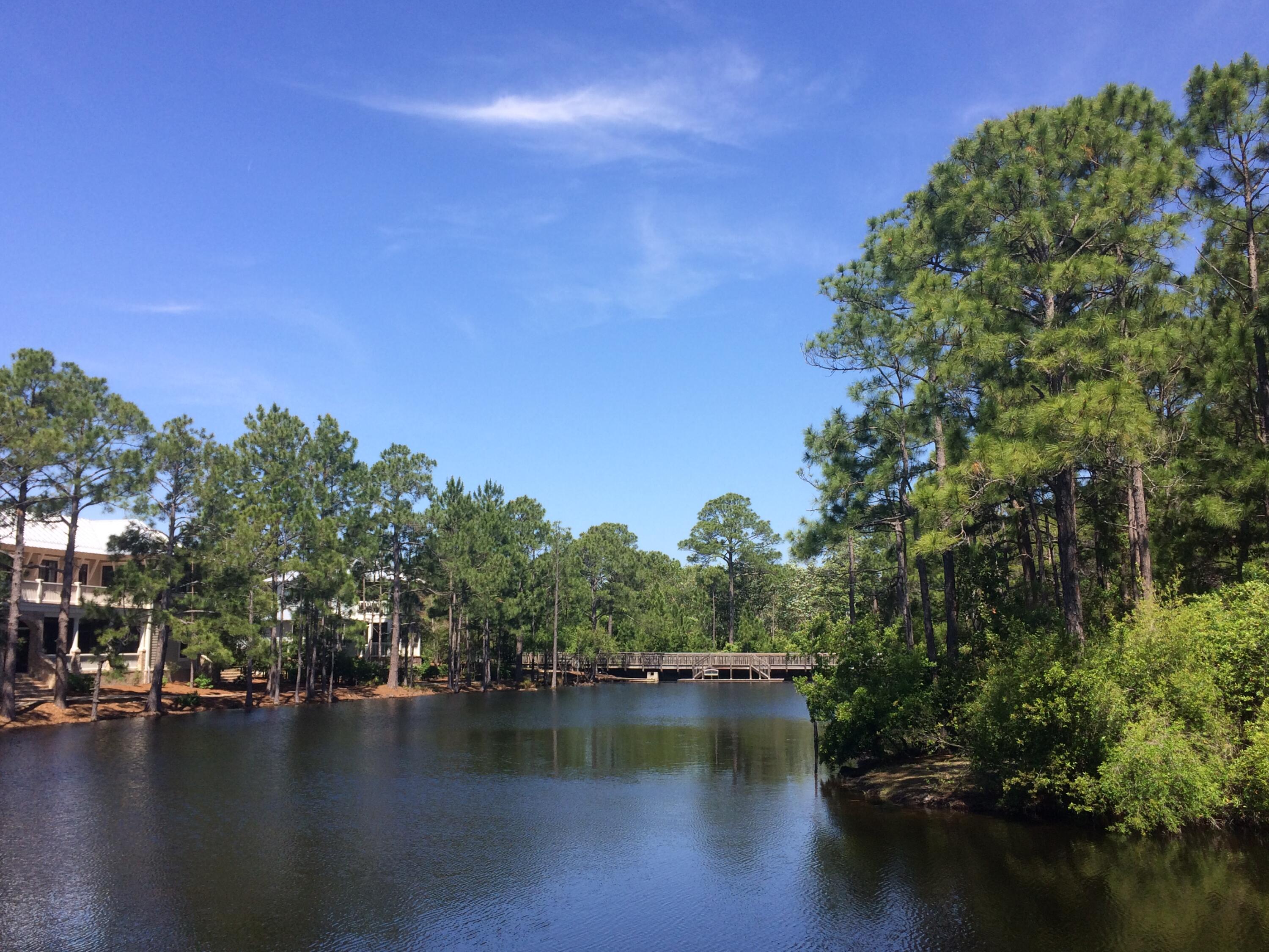 FOREST LAKES PH I - Land