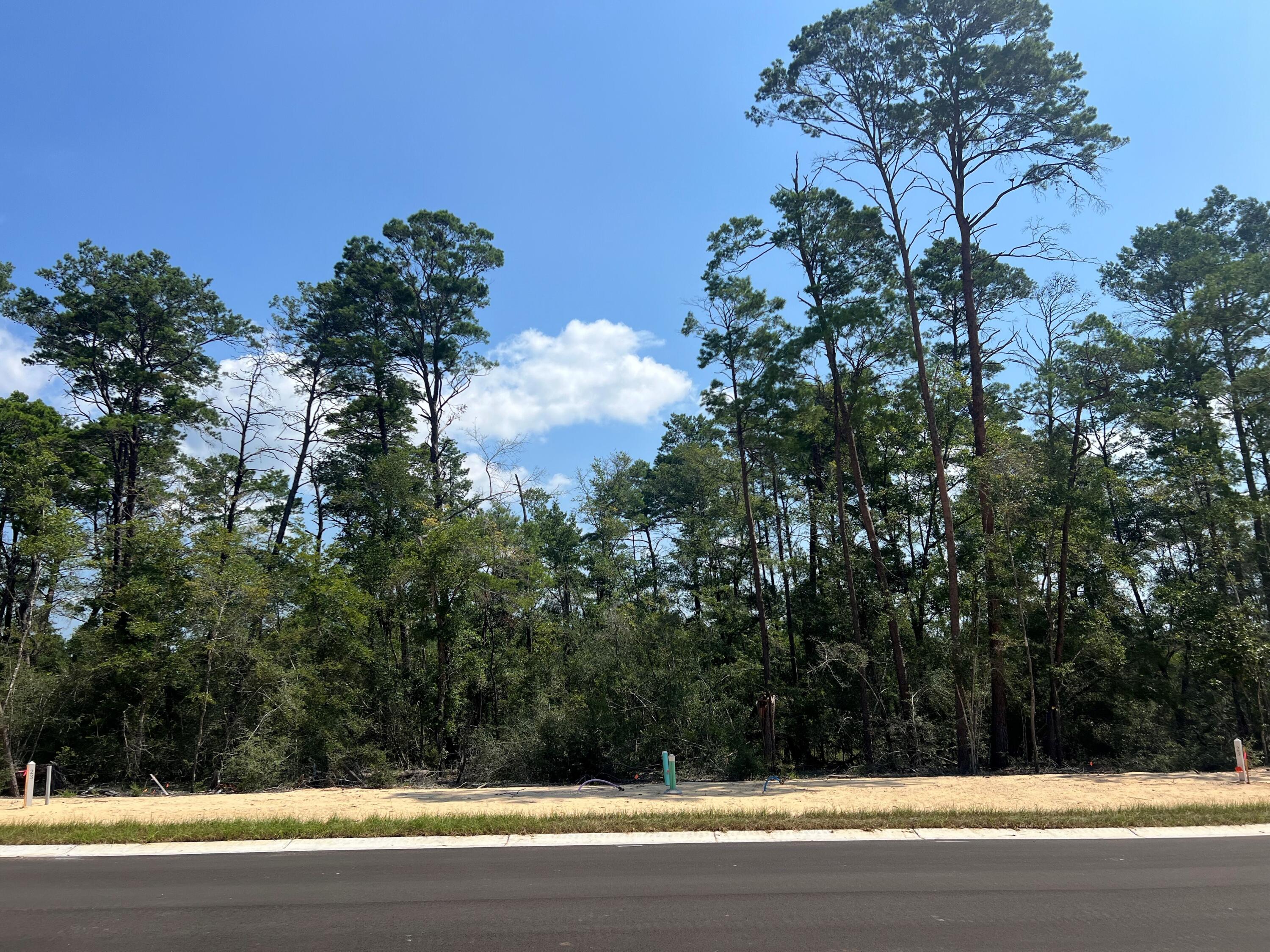 DEER MOSS CREEK - Land