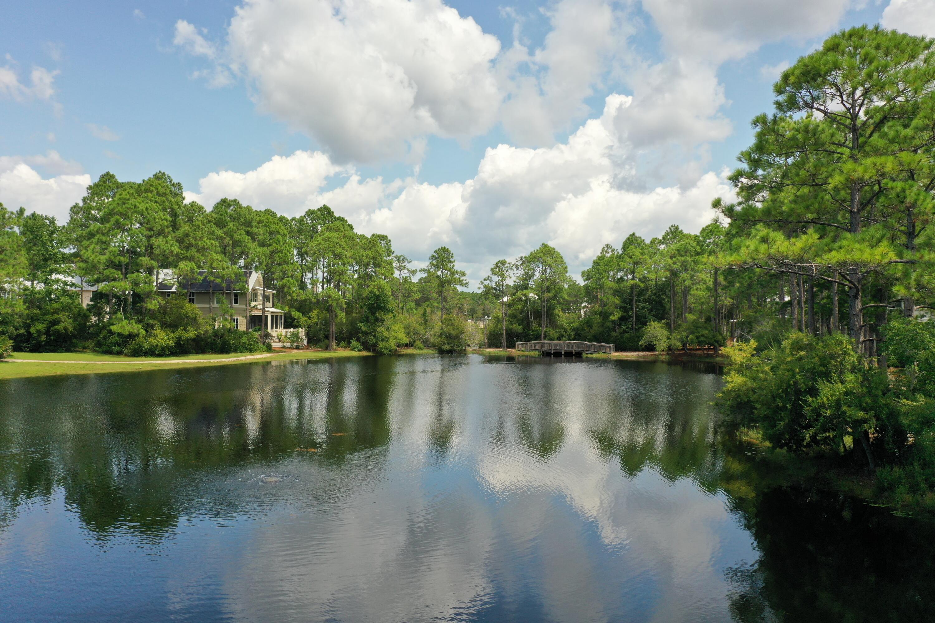 FOREST LAKES - Residential