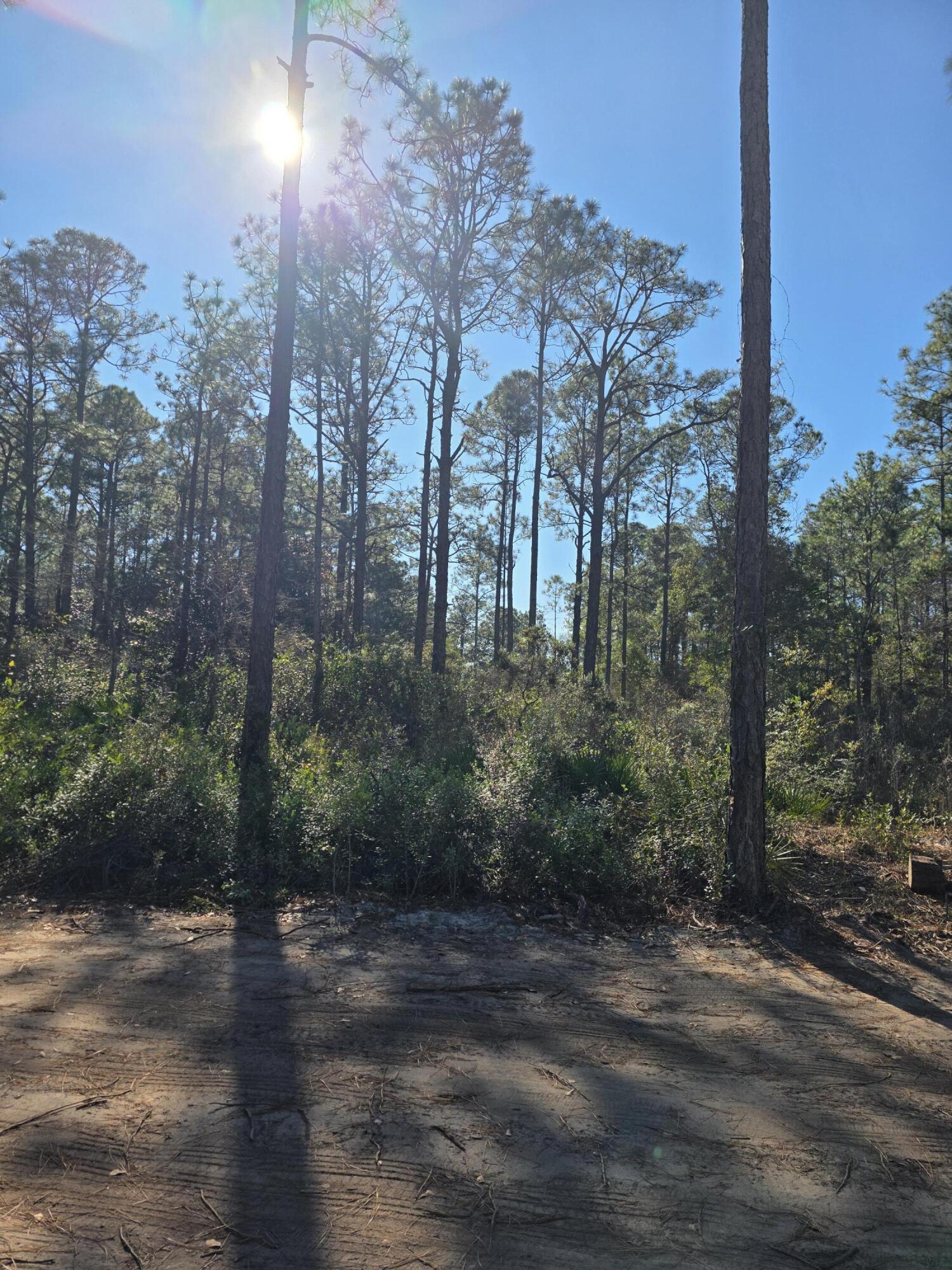 QUAIL PARK - Land