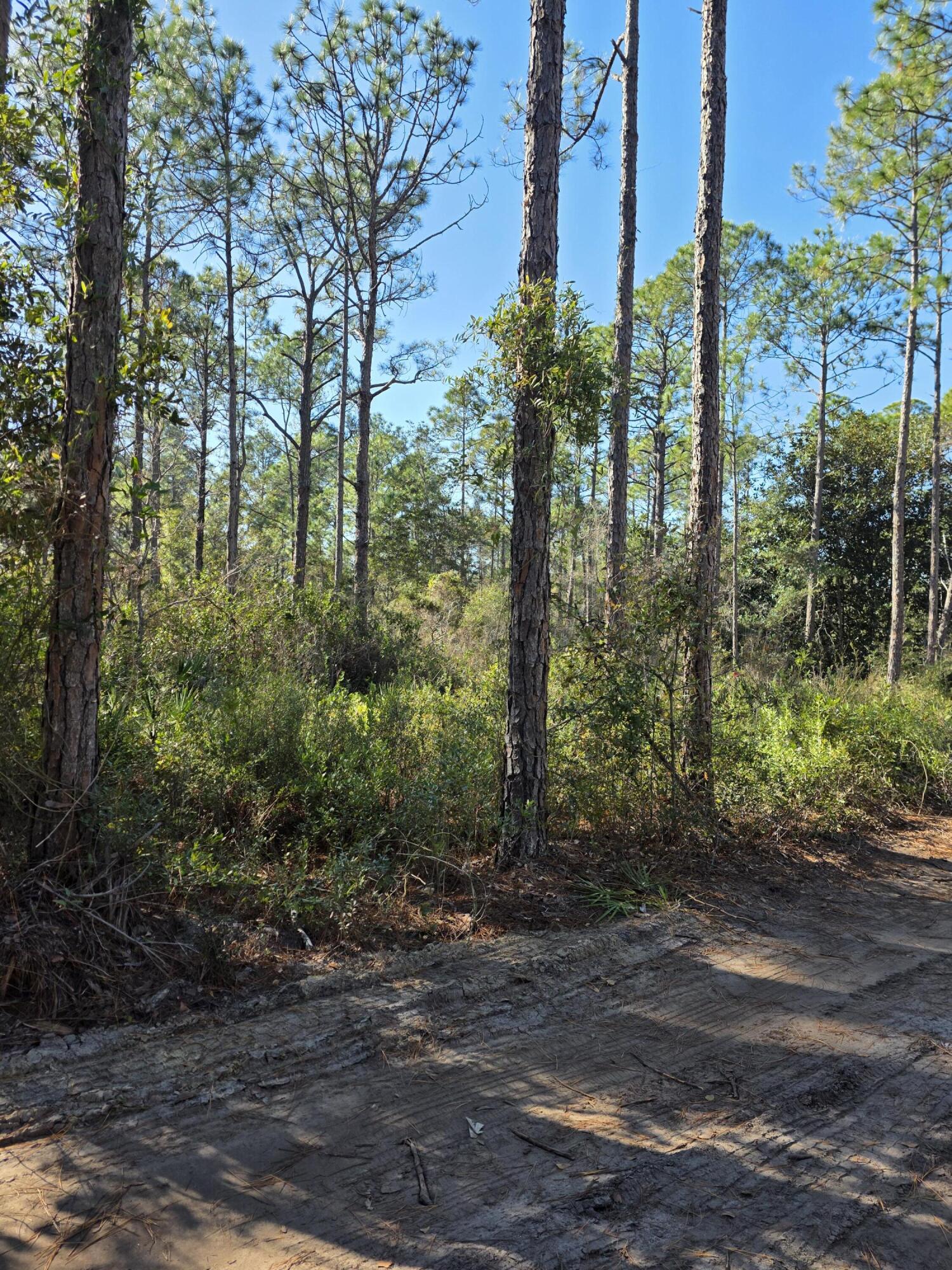 Ready to build your dream home? Come check out this great lot in Quail Park! NO HOA!!!