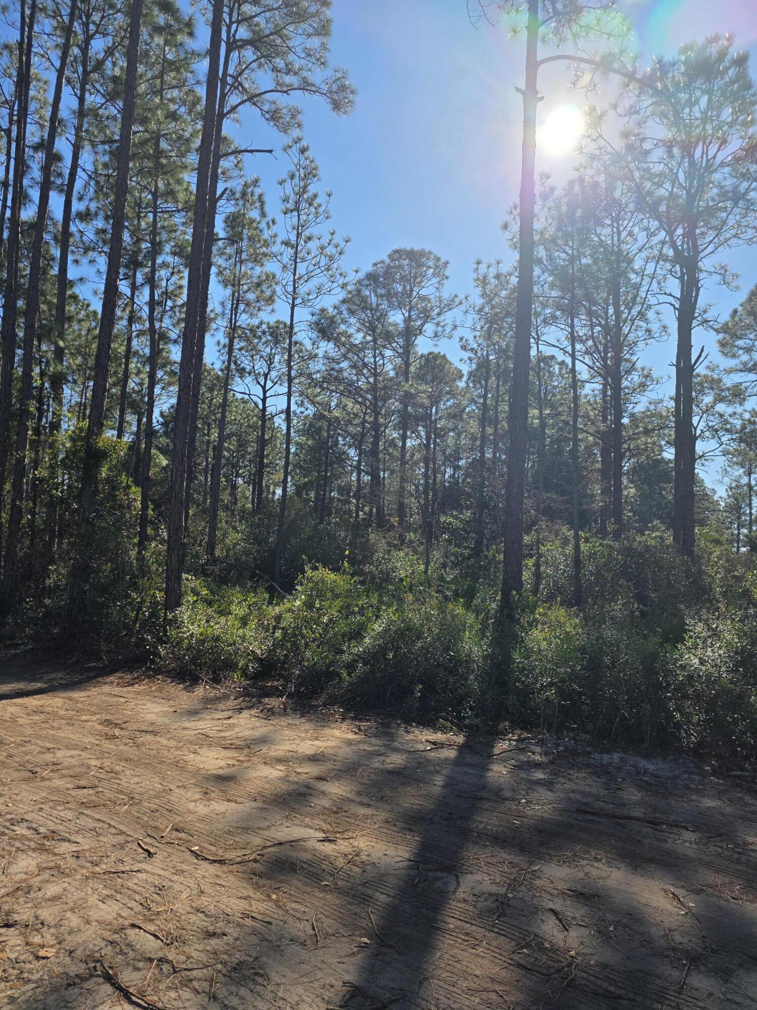 QUAIL PARK - Land