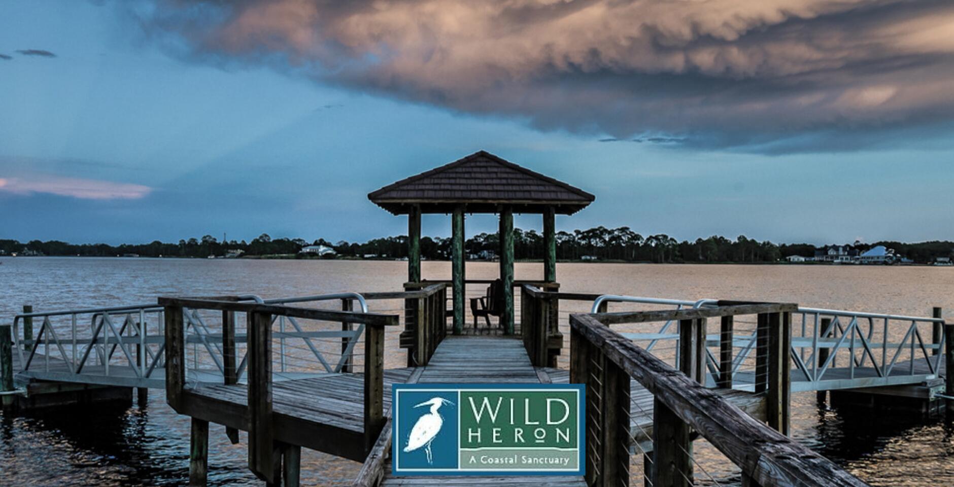 WILD HERON - Land