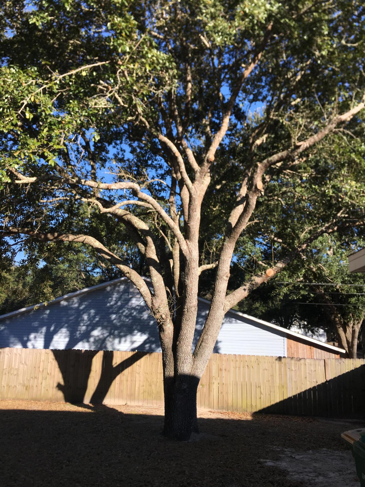 RIVER OAKS - Residential