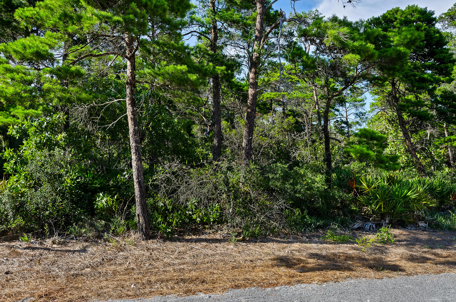 THE PRESERVE AT GRAYTON BEACH - Land
