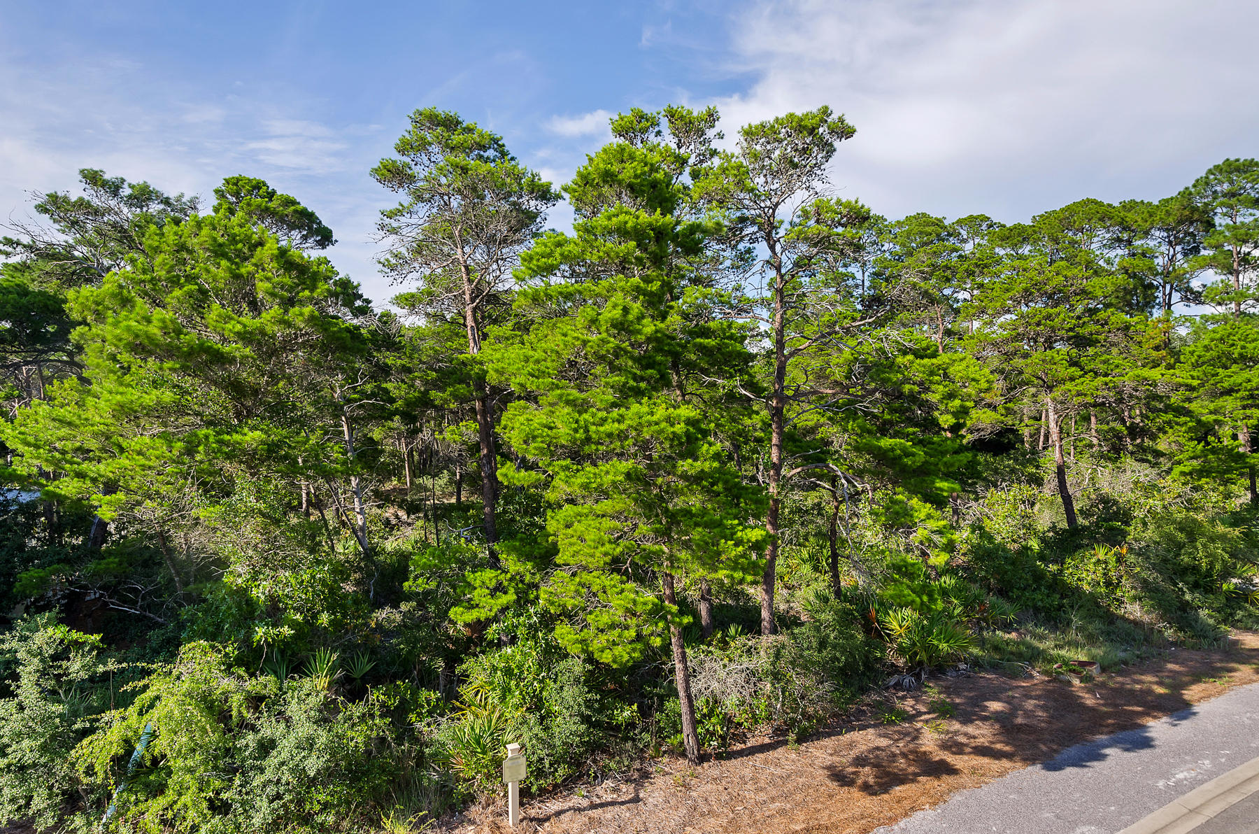 THE PRESERVE AT GRAYTON BEACH - Land