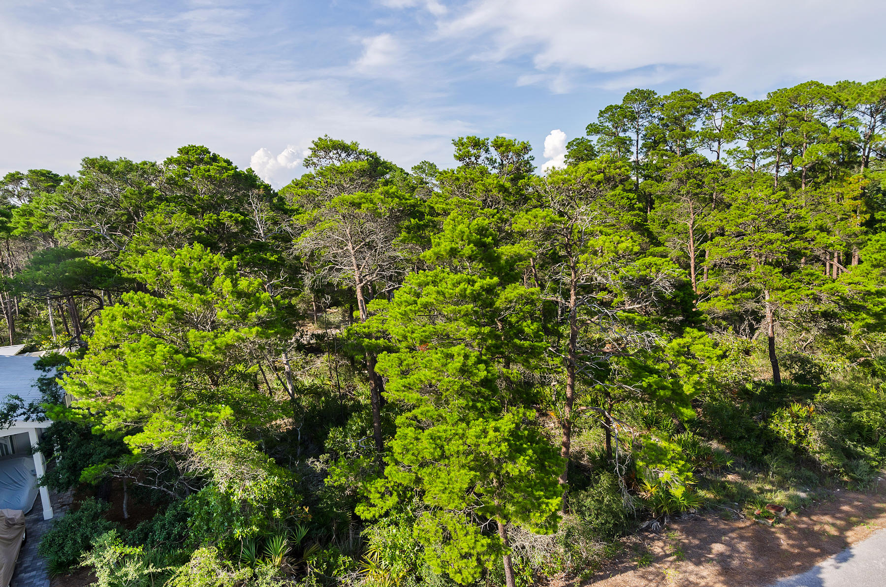 THE PRESERVE AT GRAYTON BEACH - Land