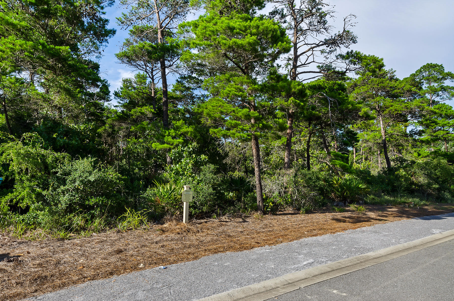 THE PRESERVE AT GRAYTON BEACH - Land