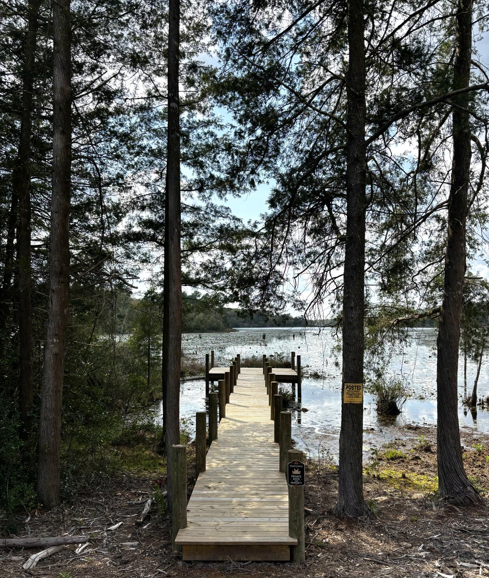 Waterfront living on Holly Lake with a private dock and peaceful wooded setting. This new construction home offers direct water access, perfect for fishing, kayaking, or relaxing by the lake. The home features an open layout with 10-foot ceilings, cathedral ceilings, custom cabinetry with quartz countertops, and a spa like master bathroom. Additional upgrades include walk in master closet, tongue and groove porch ceilings and a hot water recirculation system. Enjoy quiet lake views just minutes from DeFuniak Springs with convenient access to Hwy 331. Home is currently under construction with estimated completion coming soon, and buyers may have the opportunity to select certain finishes.