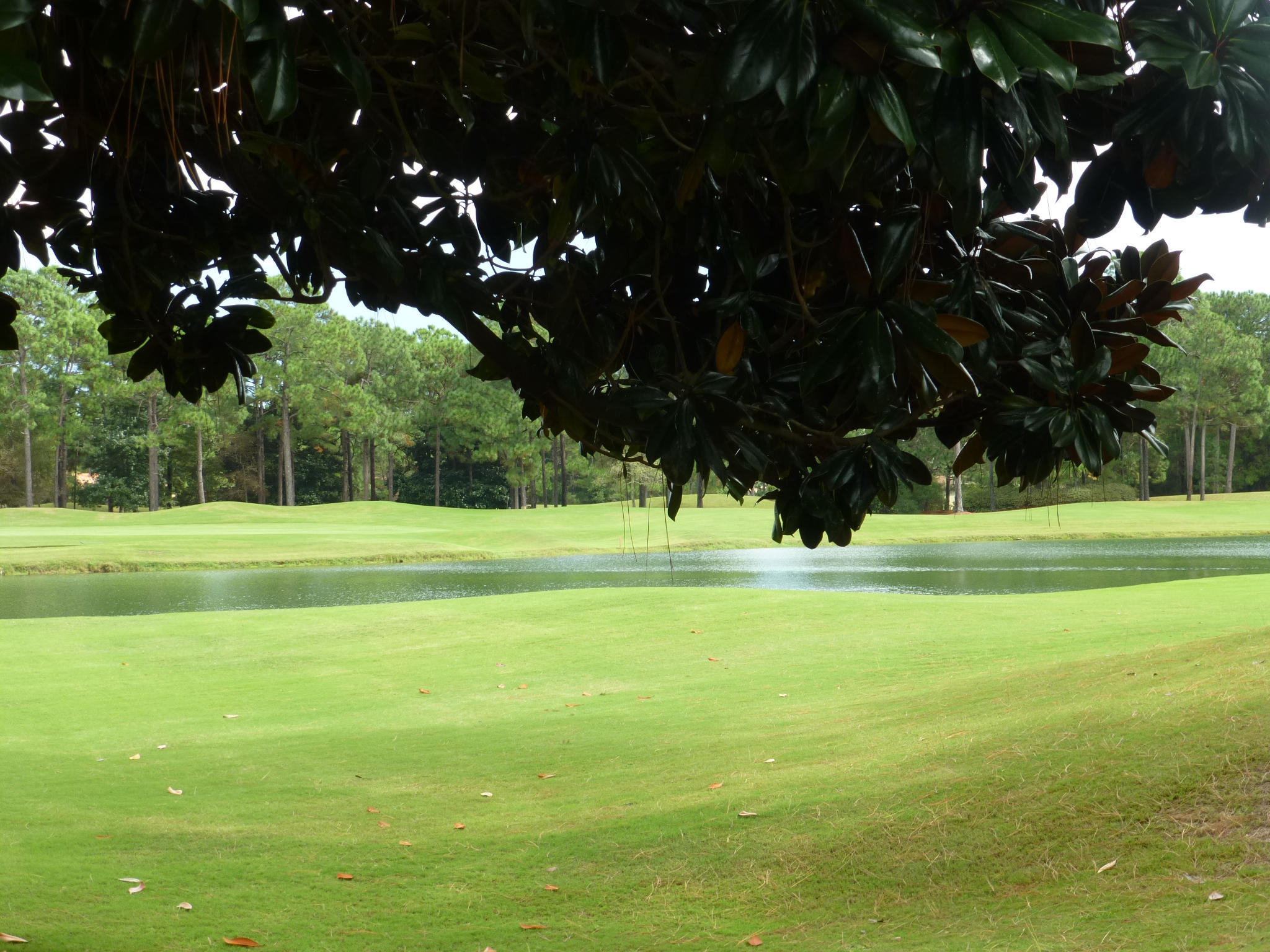 Choice estate size building lot in exclusive Burnt Pine a double gated subdivision in exclusive Burnt Pine. From back of lot looking east is a beautiful view of the #9 fairway and lake. On the other side of the lake is the #1 fairway. Looking even further east and through the trees is the 10th fairway and tee box. These views of the Burnt Pine golf course are extraordinary.
Looking north you will see gorgeous views of #8 green and fairway. And looking south you will see the lake, the #9 green, the #1 tee box and fairway as well as the Burnt Pine Club House.
There are only a few Burnt Pine home sites remaining and this one is the best.
Nice park like median green space on Merion at this lot location.