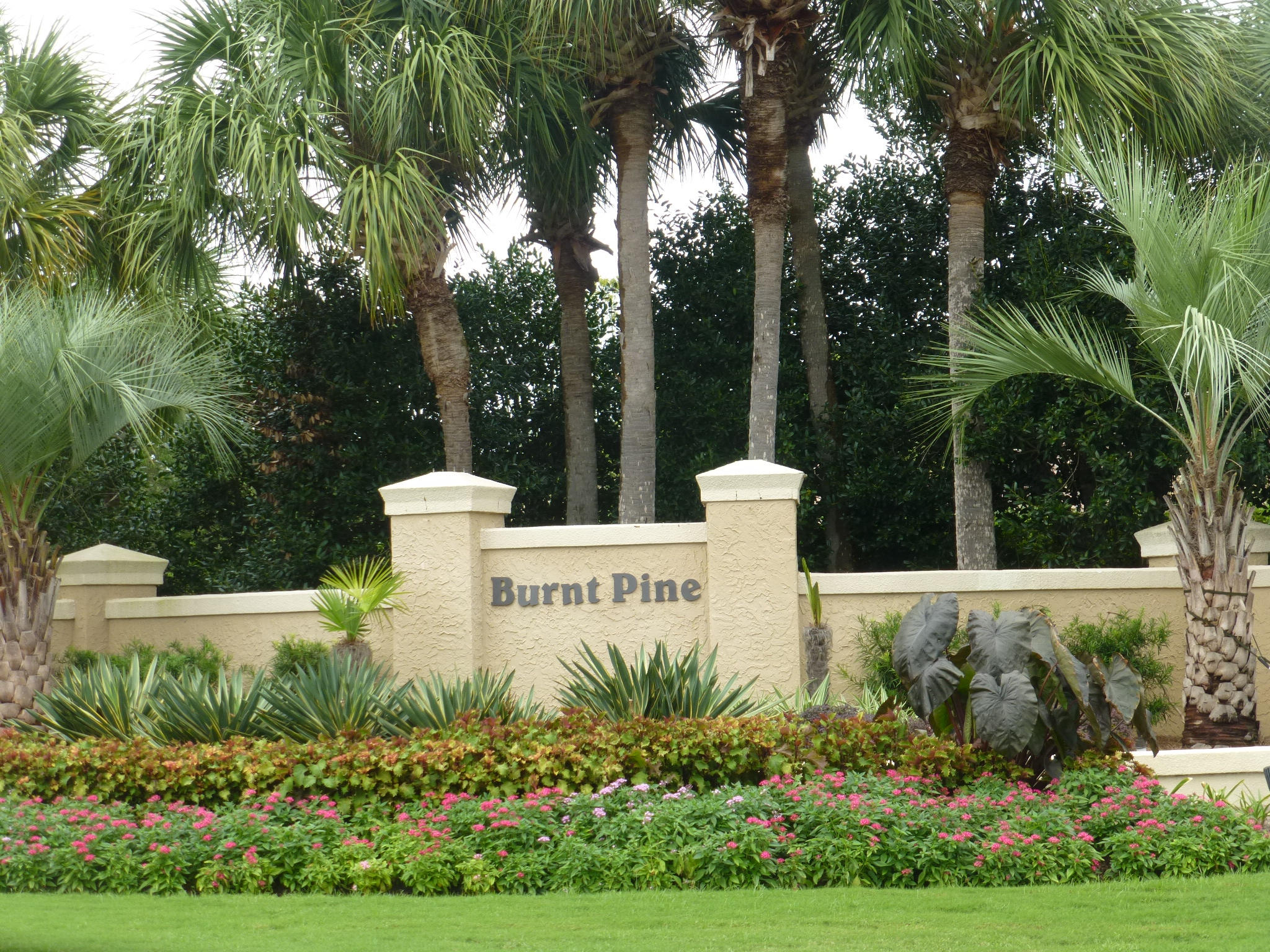 BURNT PINE - Land