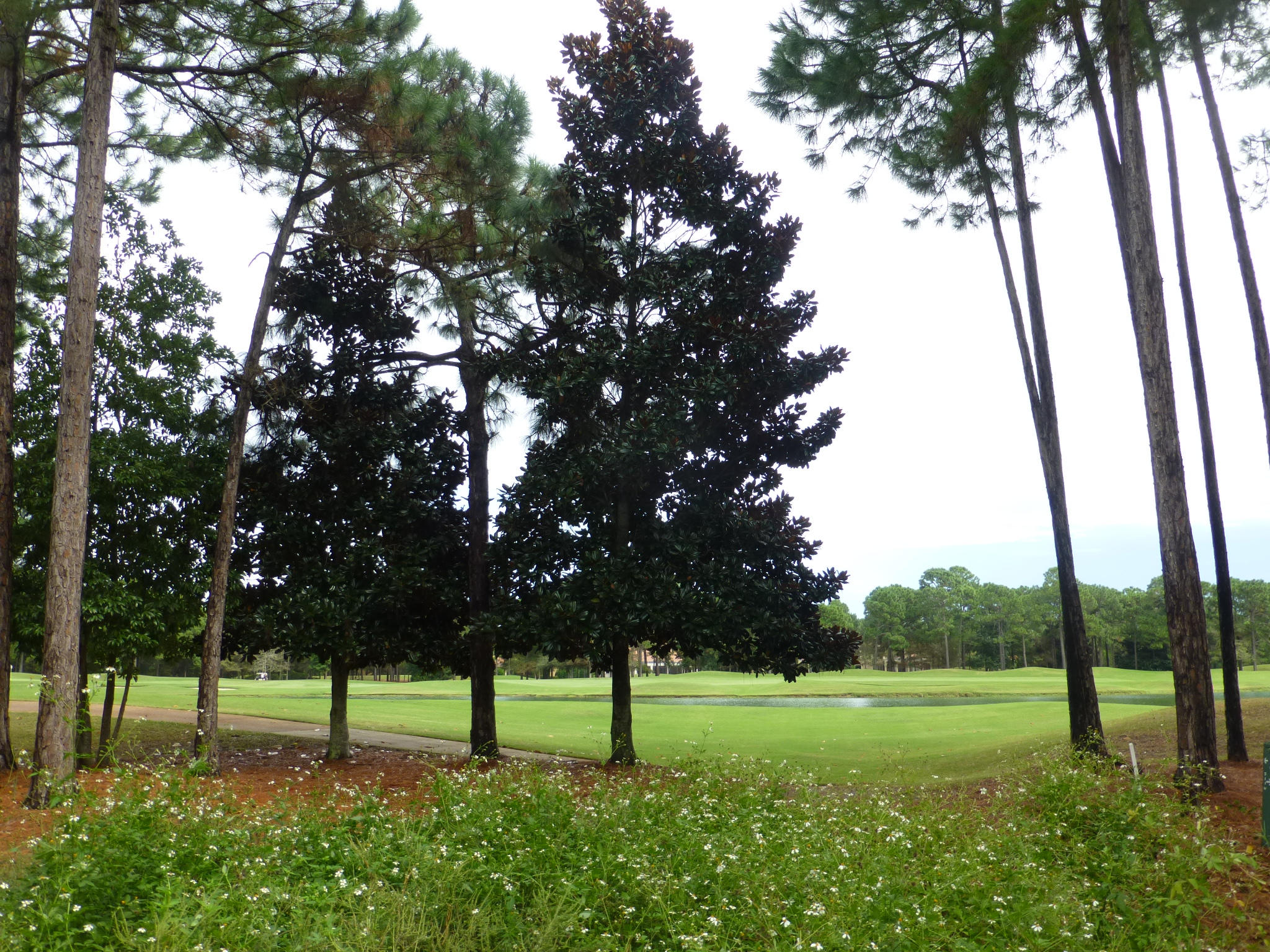 BURNT PINE - Land