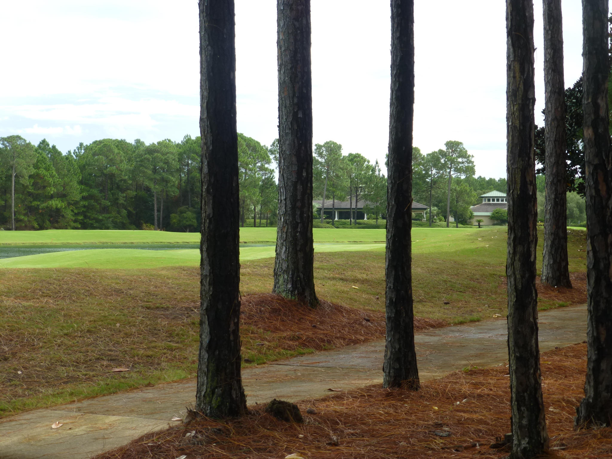 BURNT PINE - Land