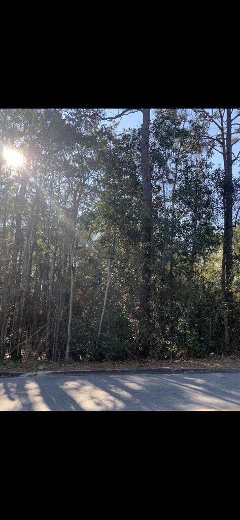 SOUTH POINTE ESTATES - Land