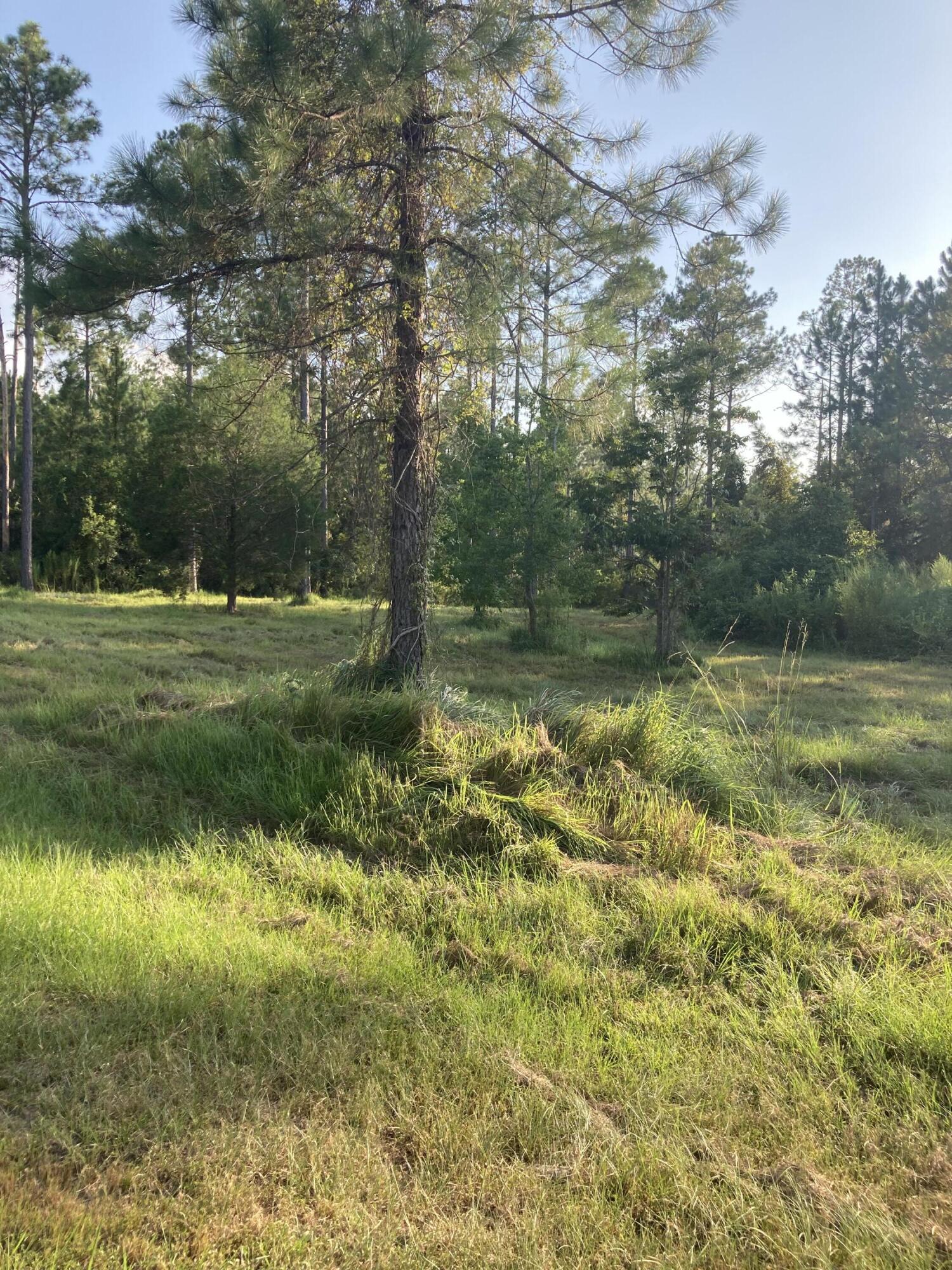 Cypress Crossing - Land