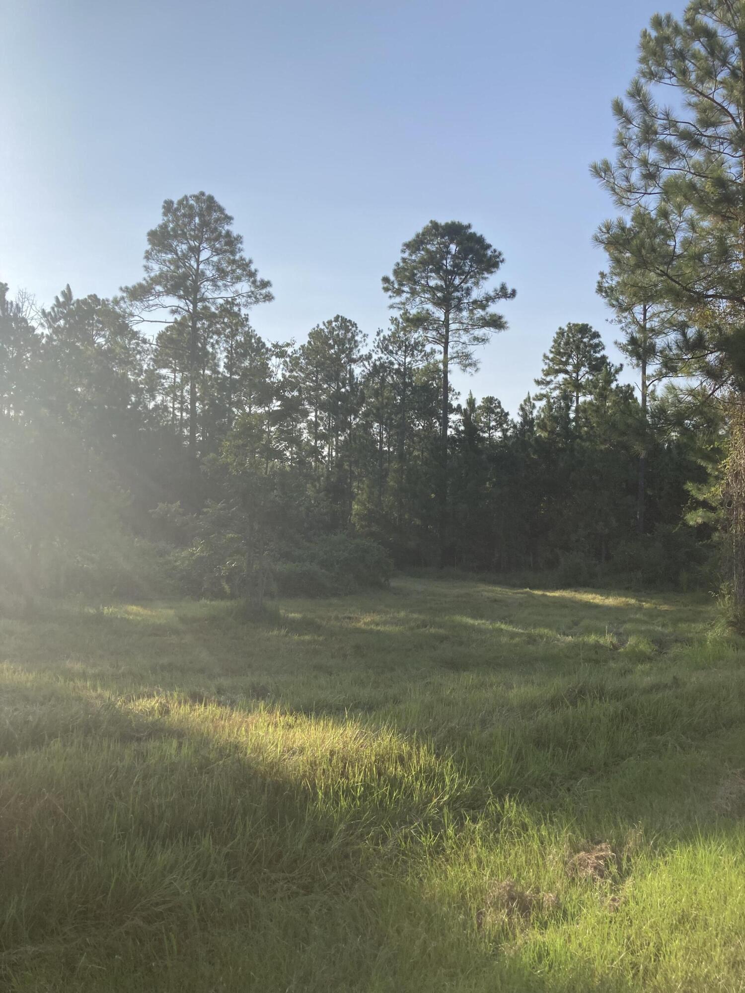 Cypress Crossing - Land