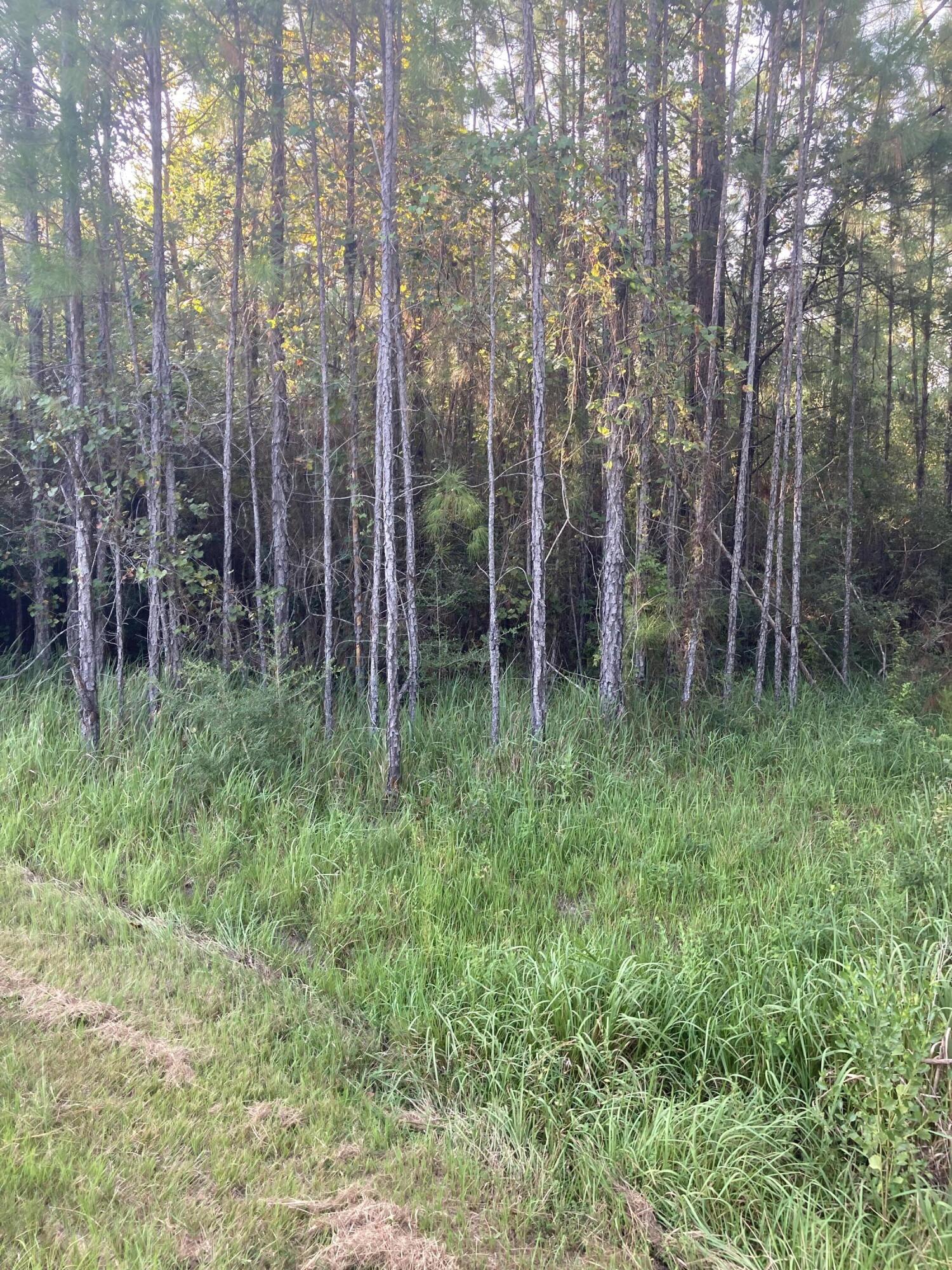 Cypress Crossing - Land