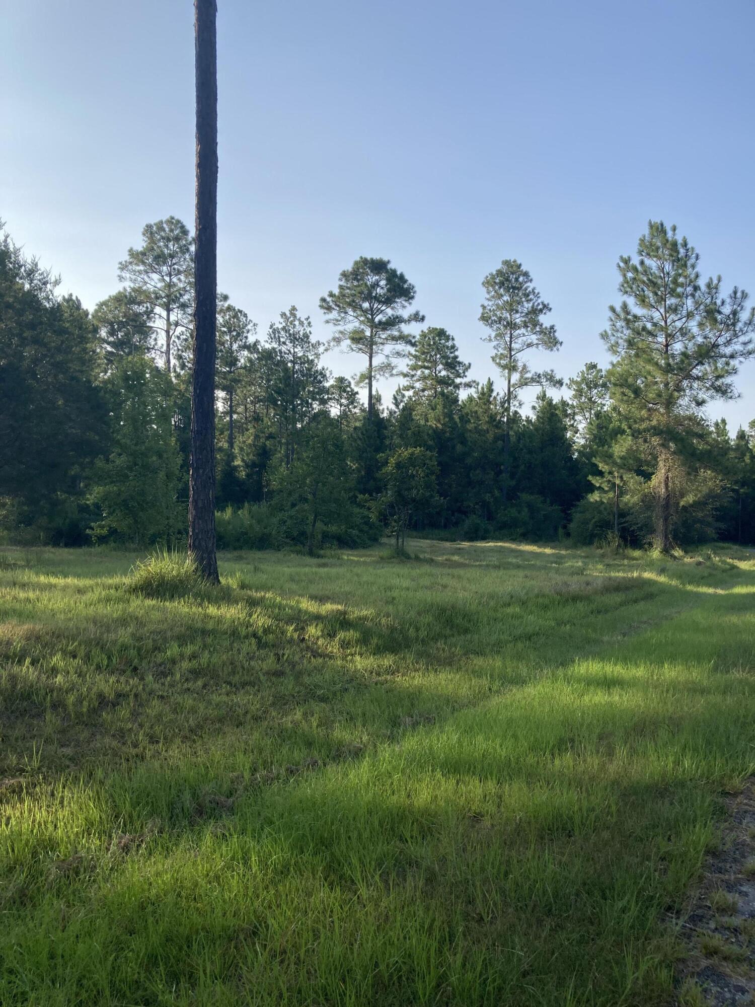 Cypress Crossing - Land
