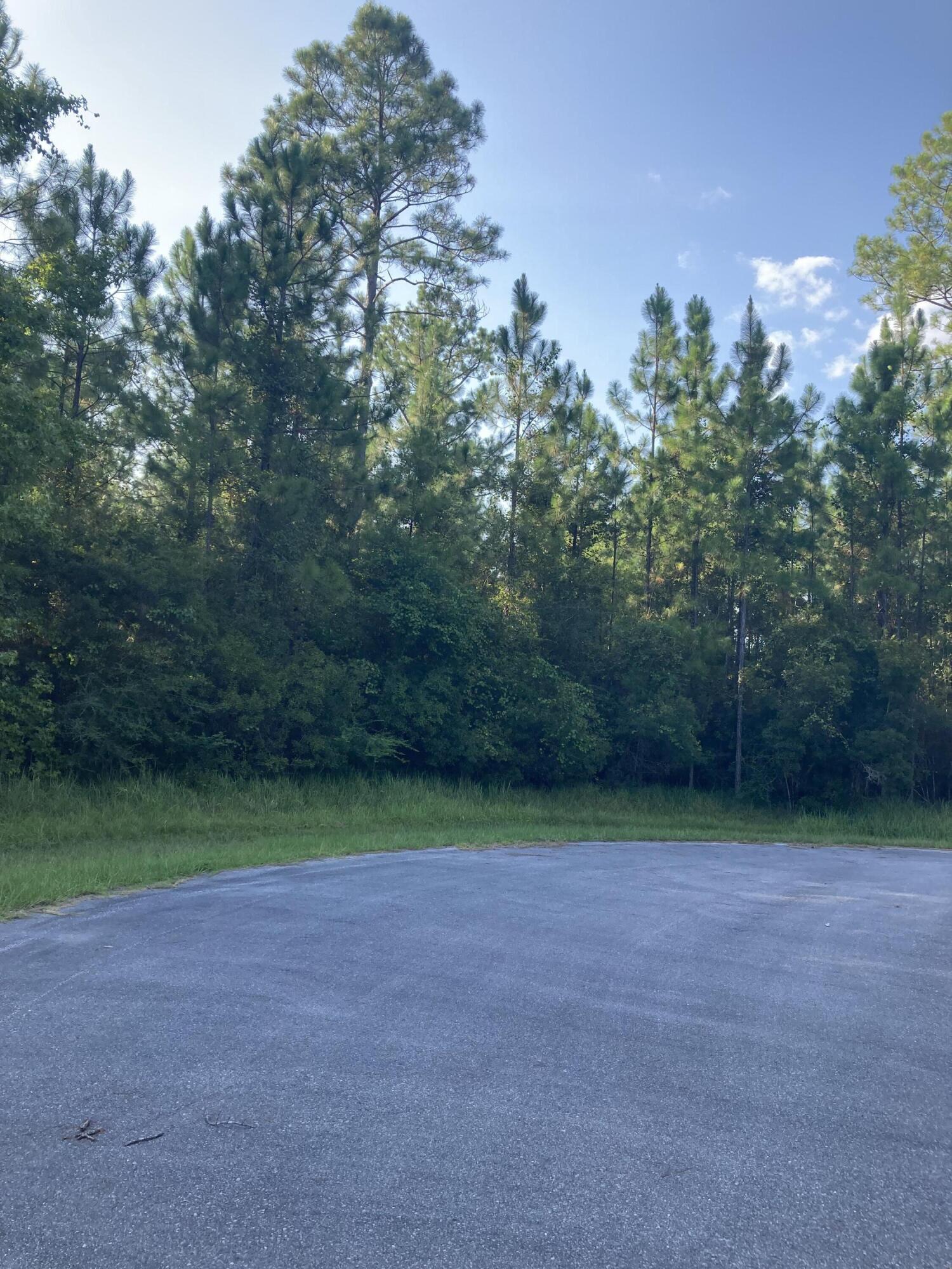 Cypress Crossing - Land