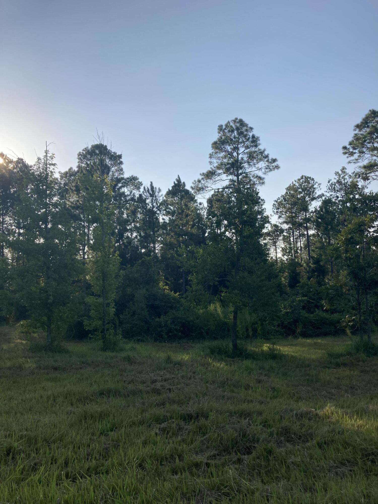 Cypress Crossing - Land